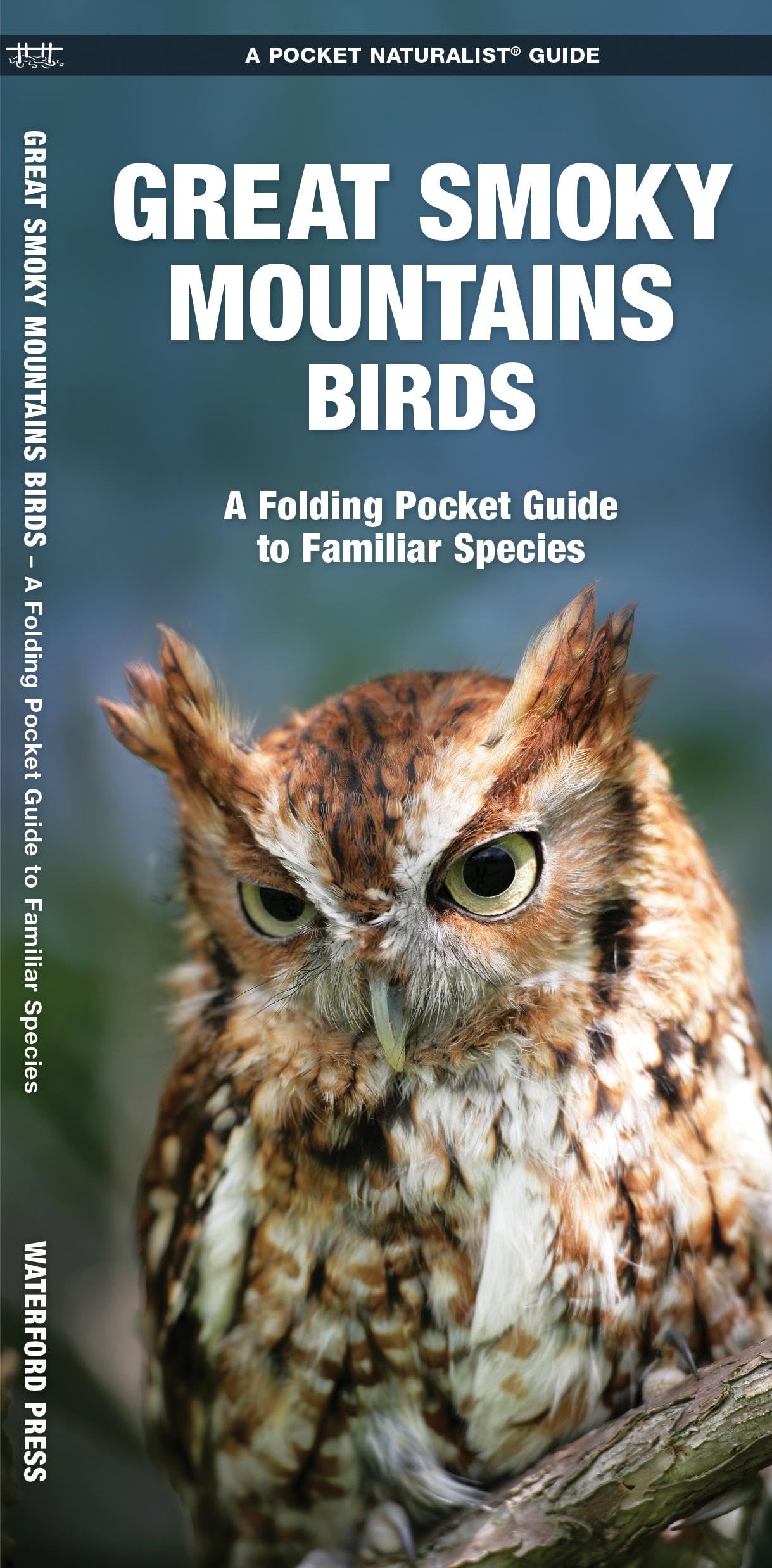 Great Smoky Mountains Birds: An Introduction to Familiar Species (Wildlife and Nature Identification),Used