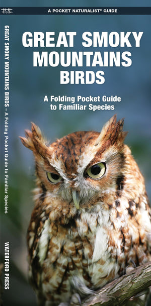 Great Smoky Mountains Birds: An Introduction to Familiar Species (Wildlife and Nature Identification),Used