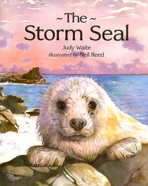 The Storm Seal,Used