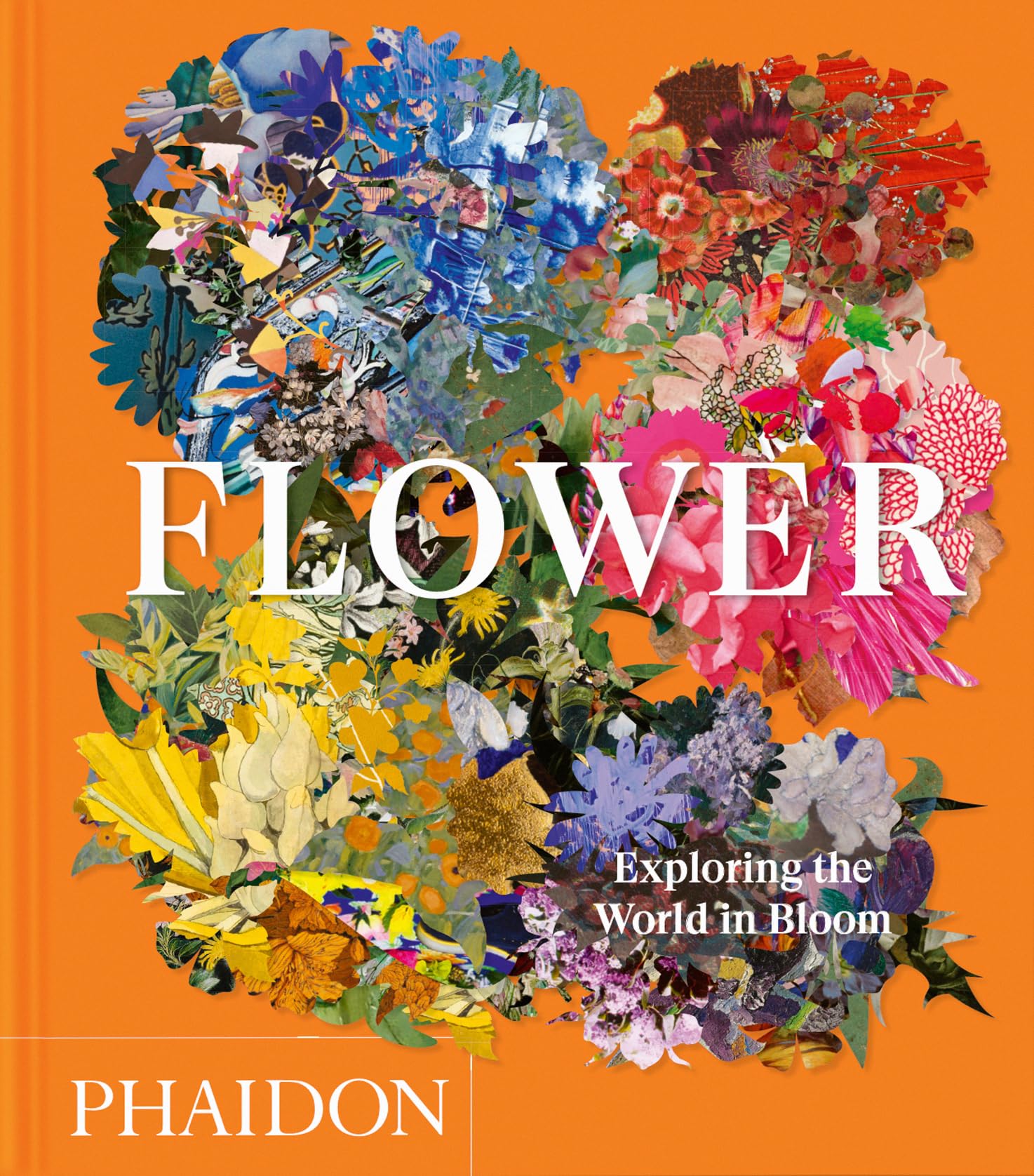 Flower: Exploring the World in Bloom (Phaidon Compacts)