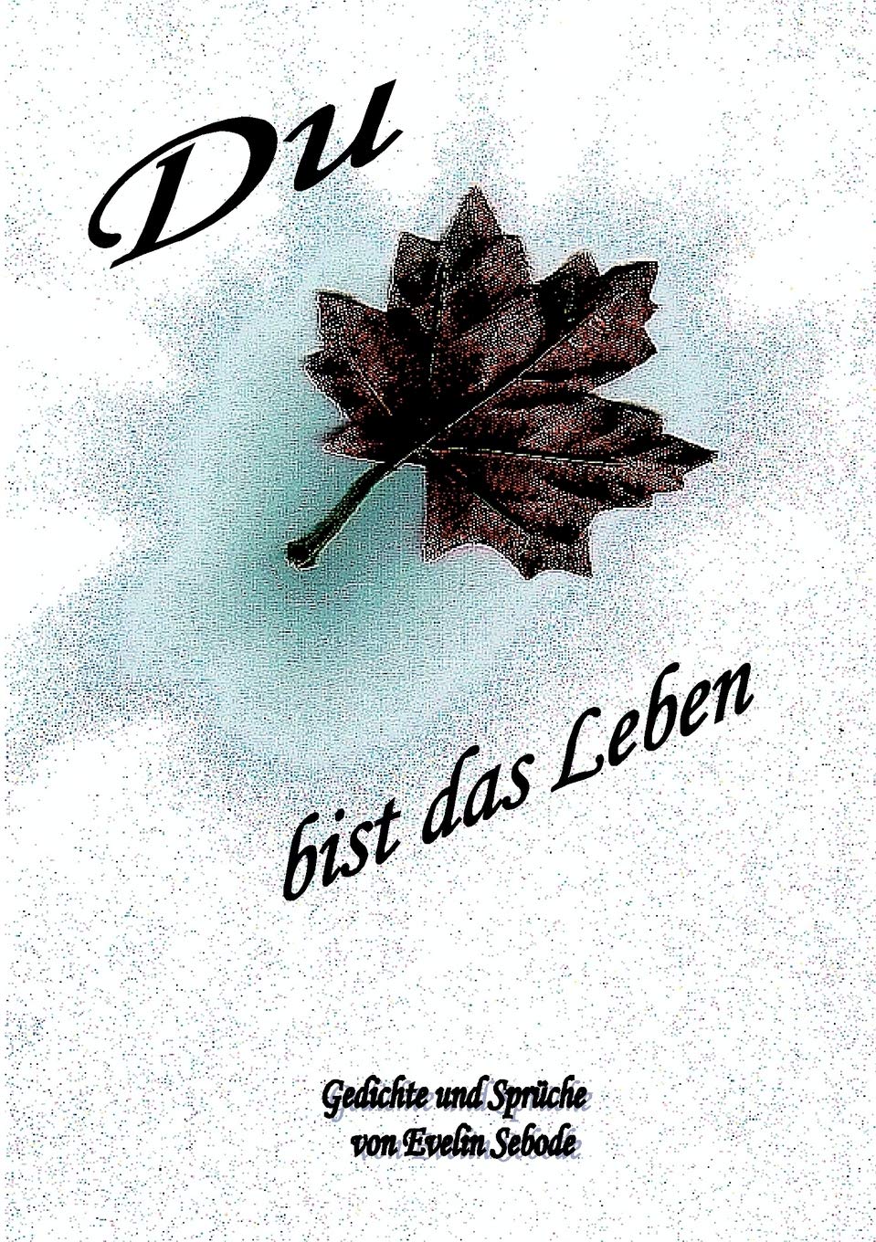 Du Bist Das Leben (German Edition),Used