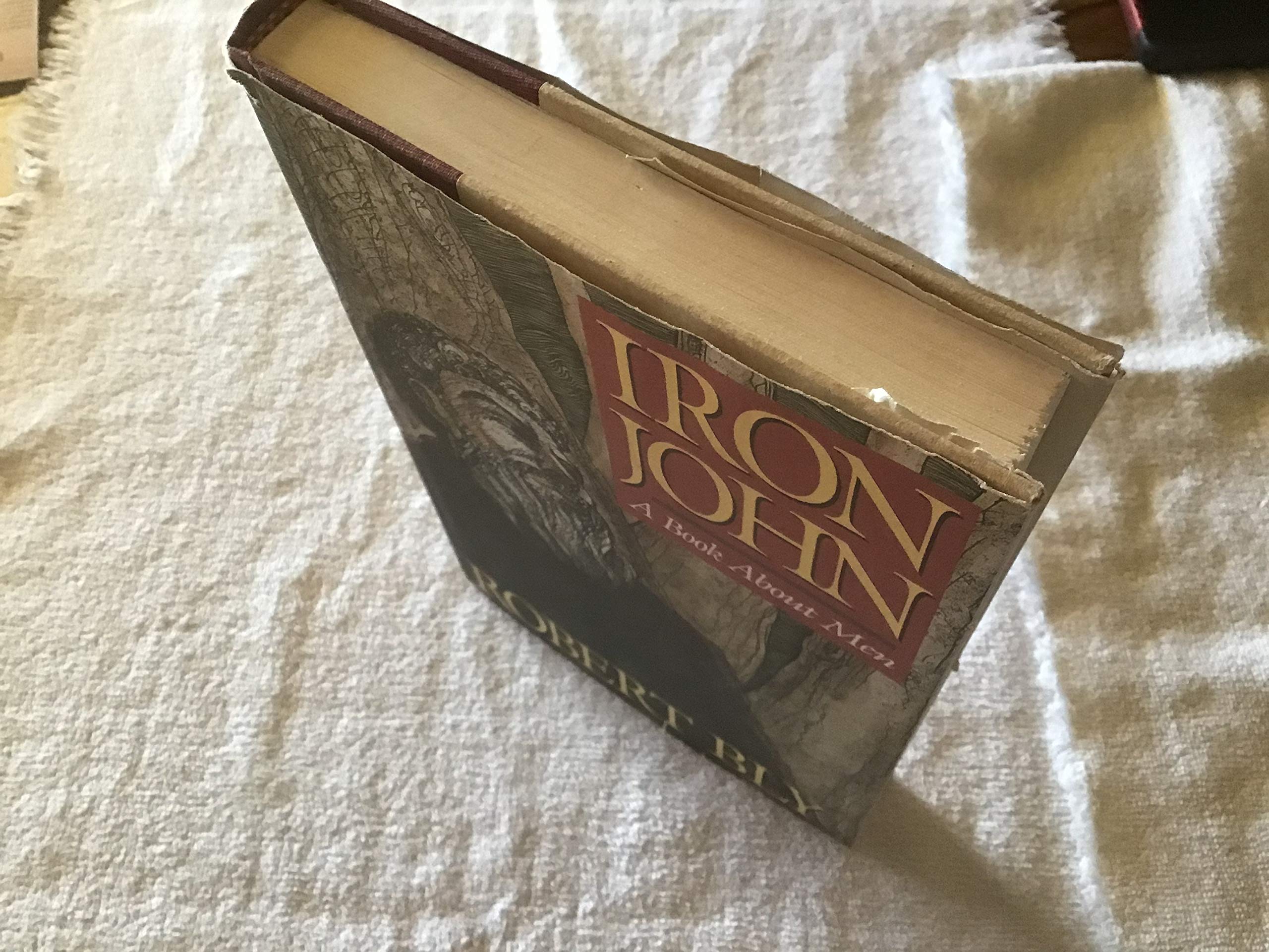 Iron John: A Book About Men by Bly, Robert (1990) Hardcover,Used