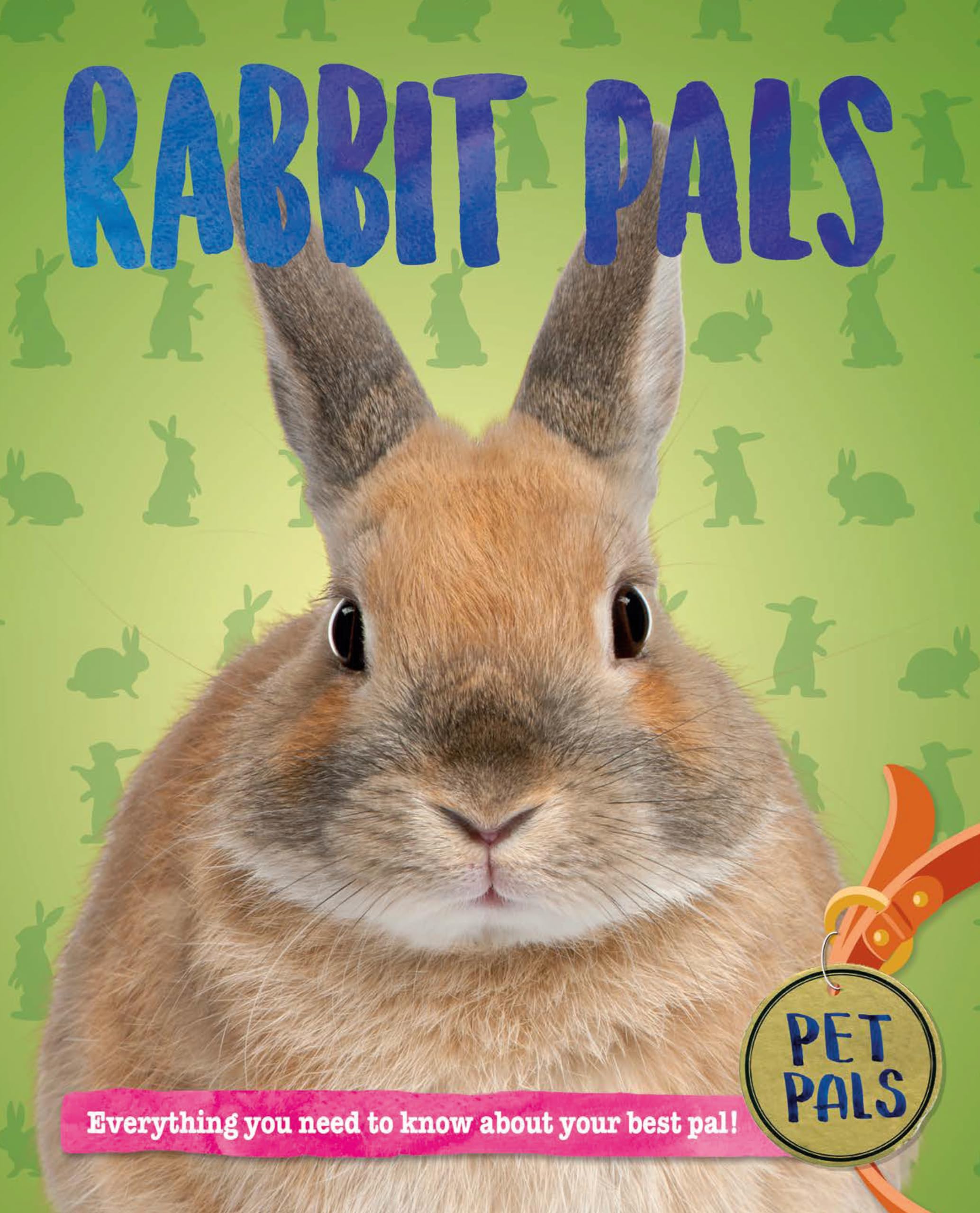 Rabbit Pals (Pet Pals),Used