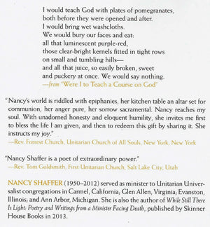 Instructions in Joy: Meditations,Used