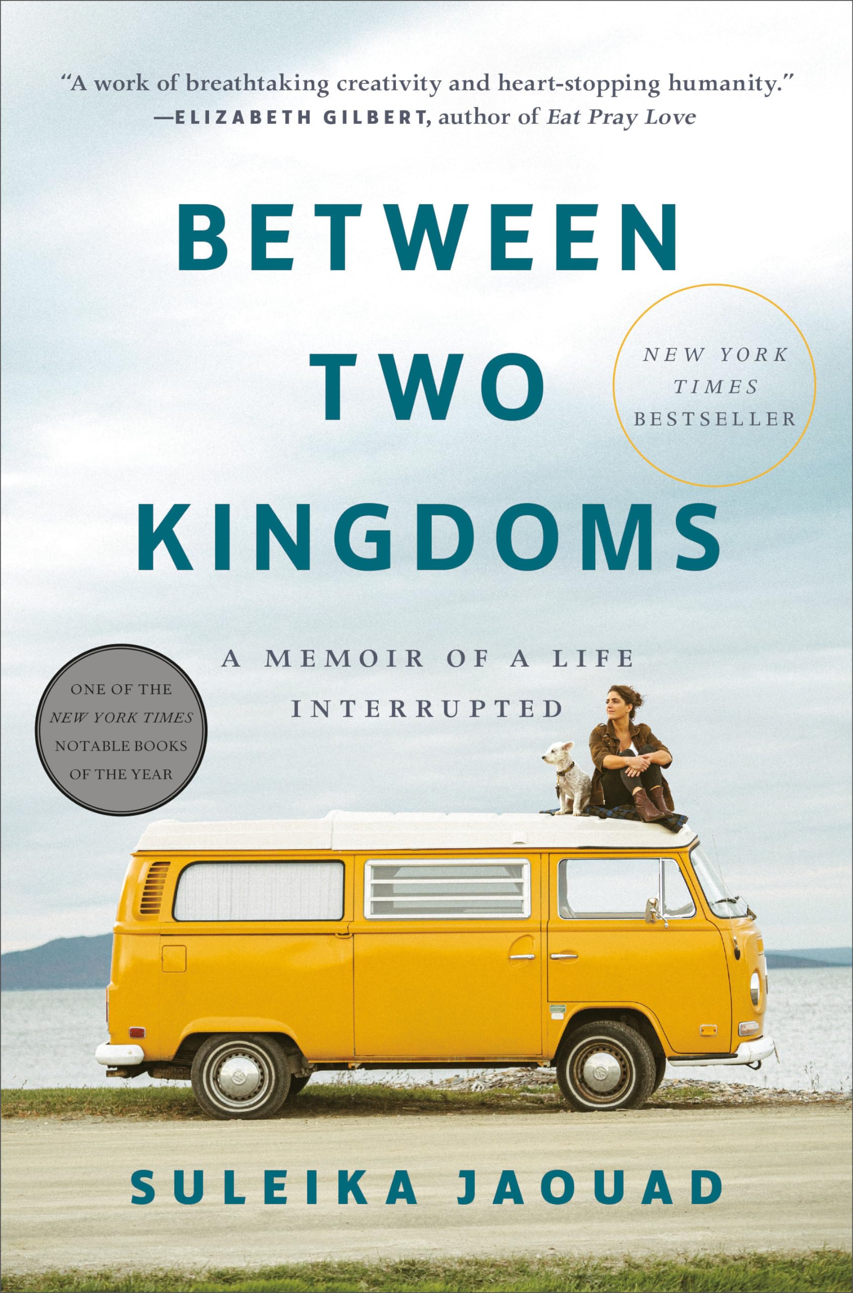 Between Two Kingdoms: A Memoir Of A Life Interrupted