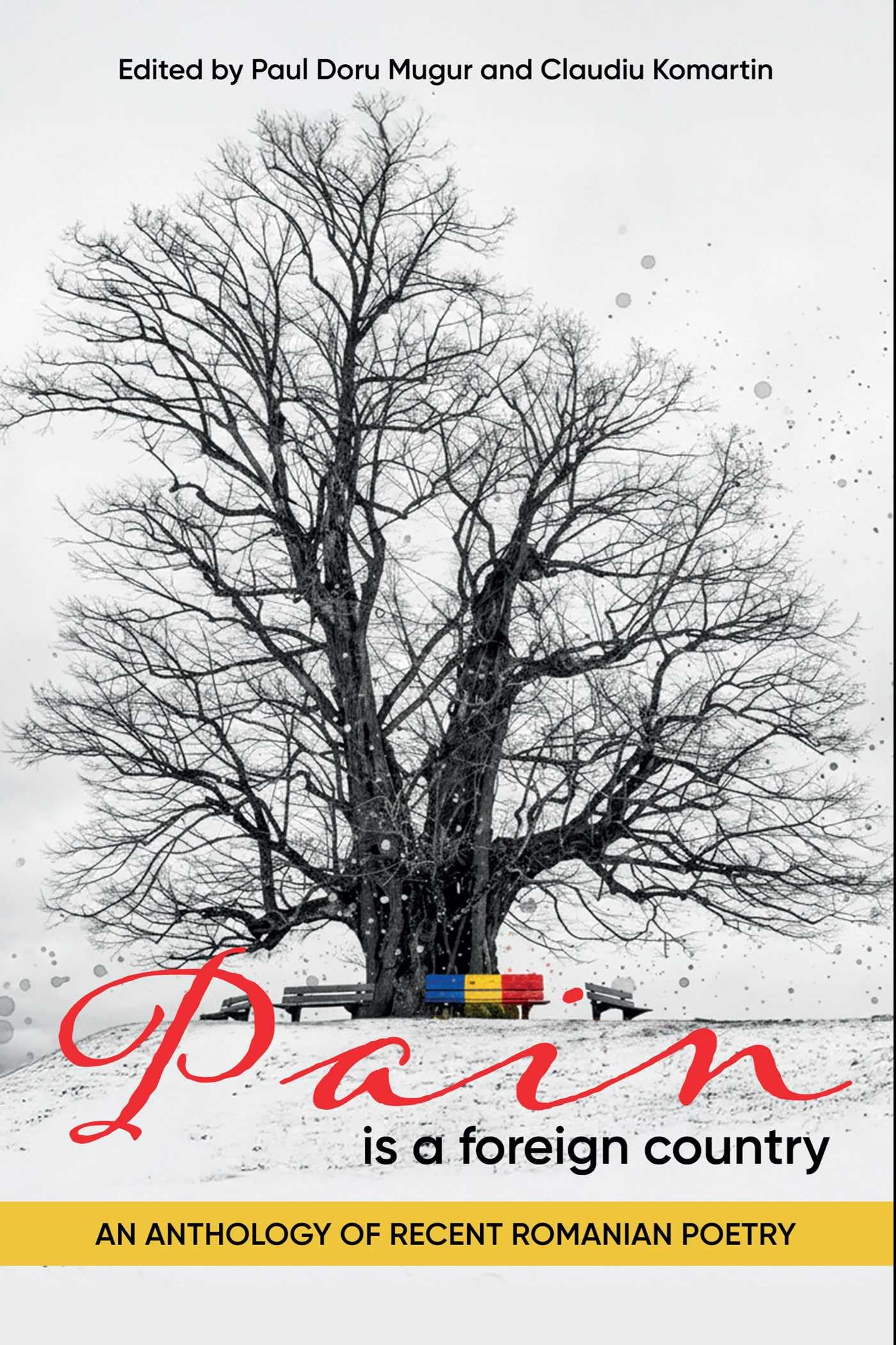 Pain Is A Foreign Country: An Anthology Of Recent Romanian Poetry