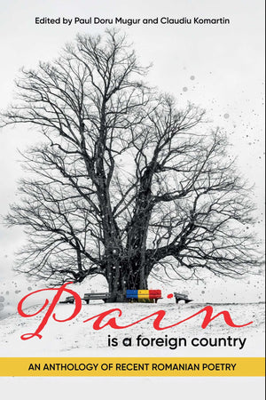 Pain Is A Foreign Country: An Anthology Of Recent Romanian Poetry