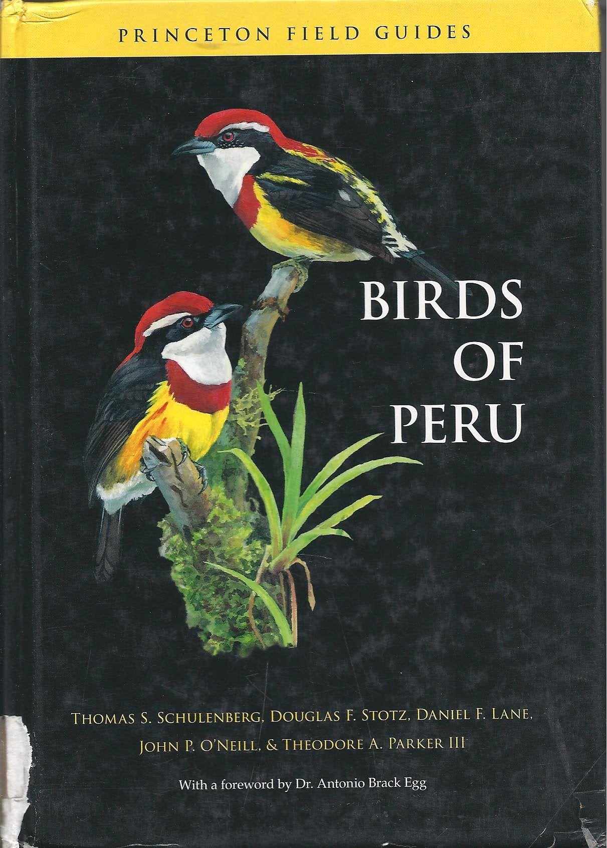 Birds of Peru (Princeton Field Guides, 44),Used