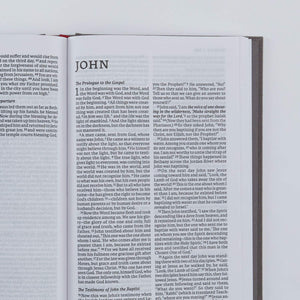 NET Bible, Thinline Large Print, Cloth over Board, Gray, Comfort Print: Holy Bible,Used