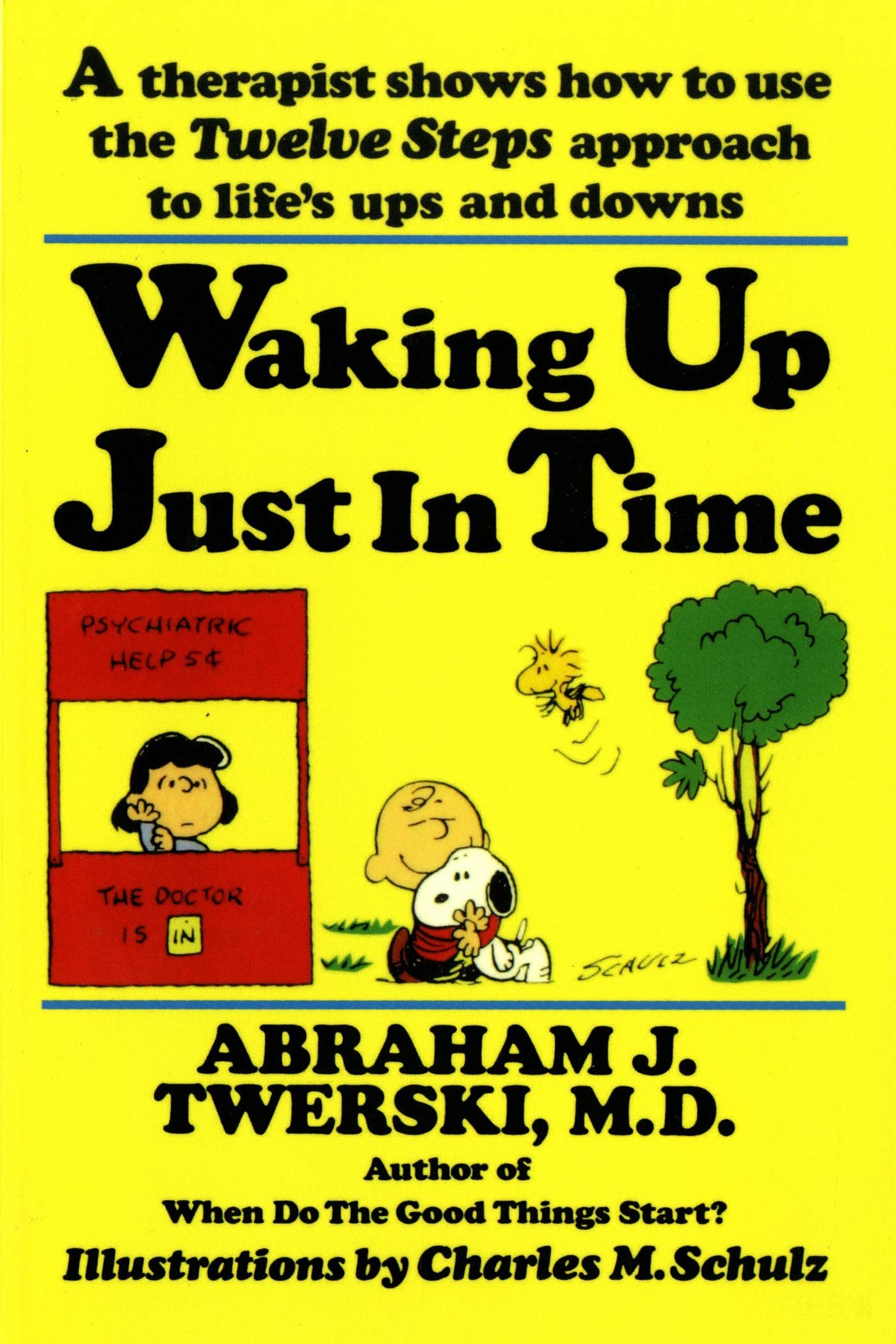 Waking up Just in Time: A Therapist Shows How to use the Twelve Steps Approach to Life's Ups and Downs,New