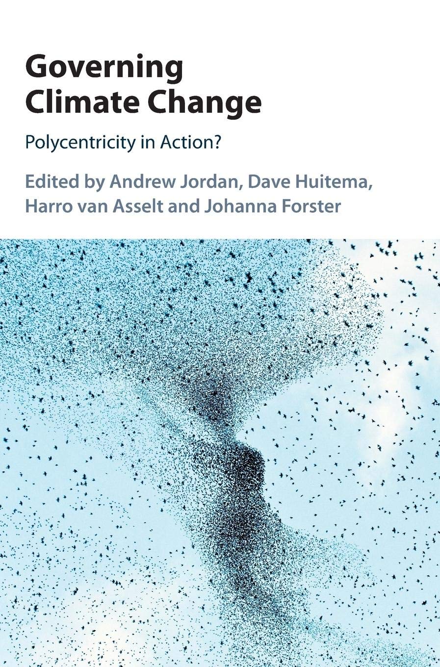 Governing Climate Change: Polycentricity in Action?,Used