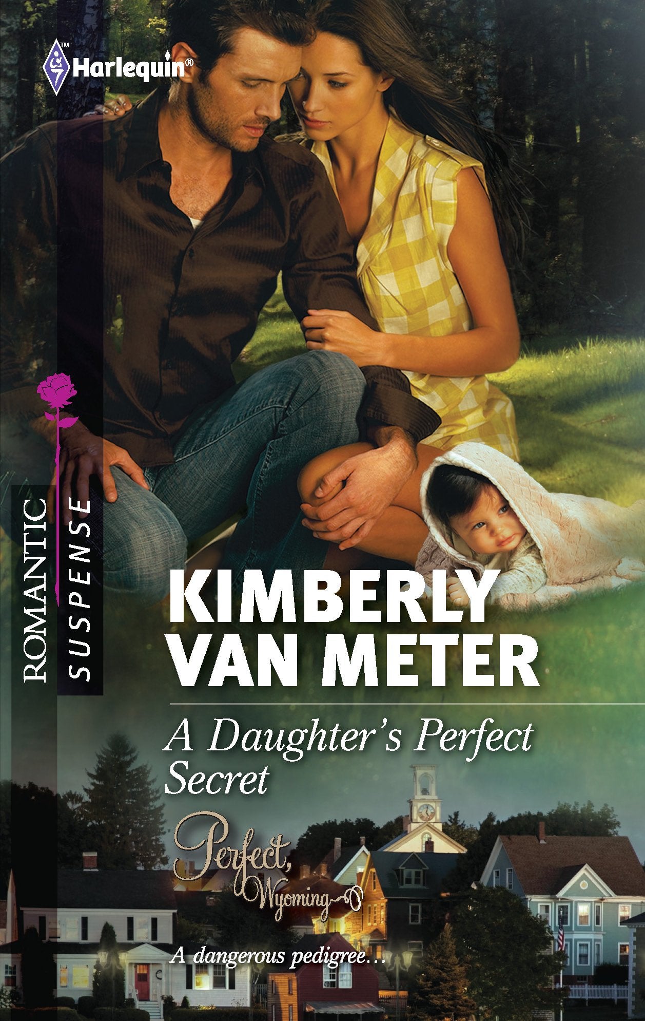 A Daughter's Perfect Secret,Used