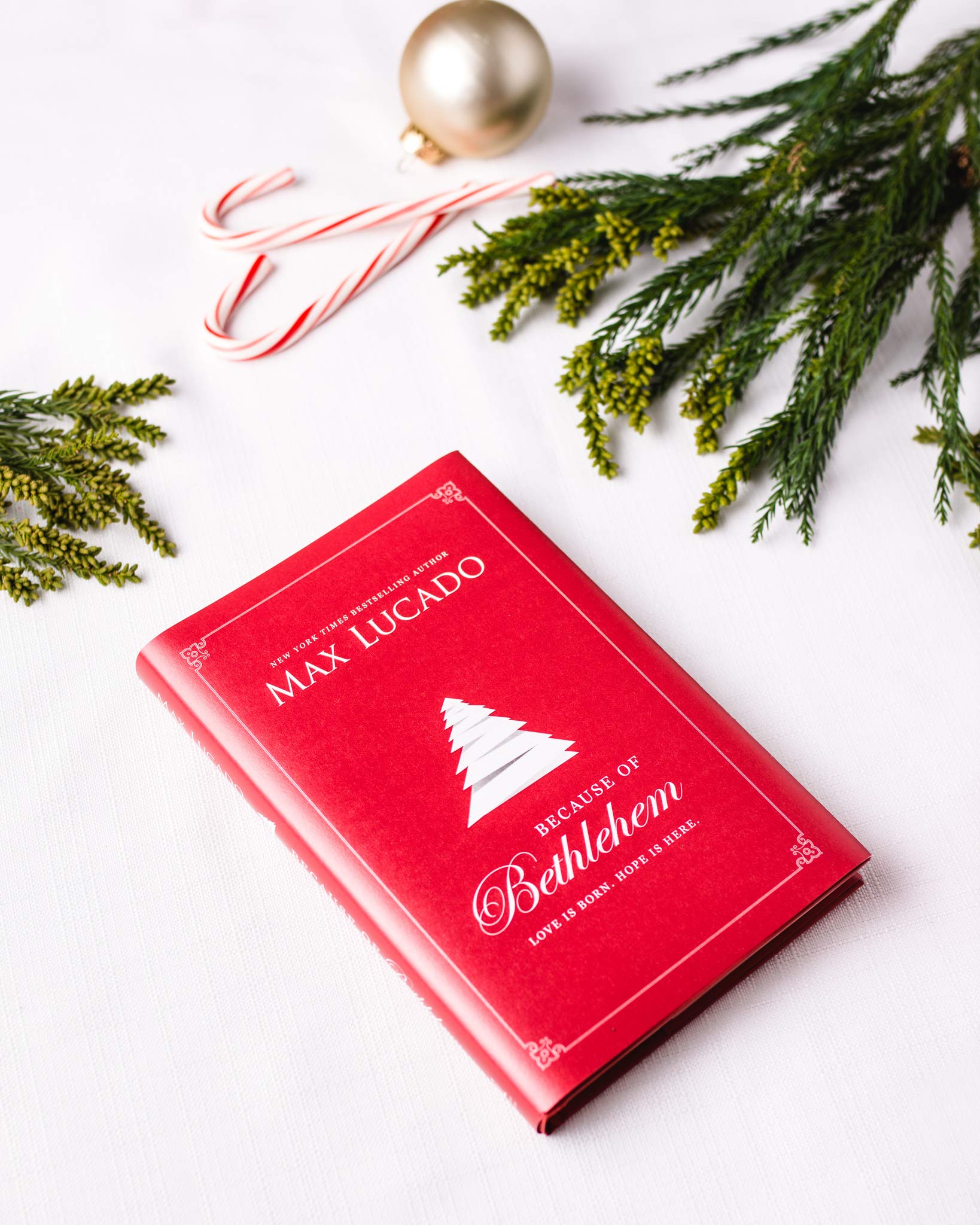 Because of Bethlehem: Love Is Born, Hope Is Here,Used