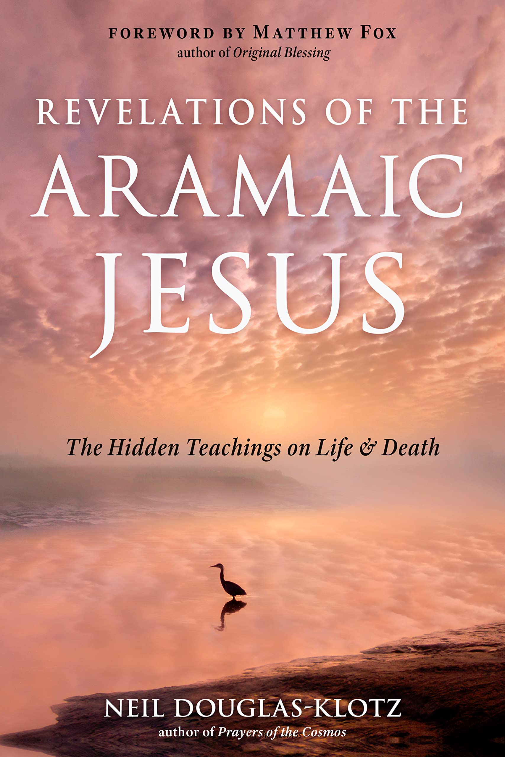 Revelations of the Aramaic Jesus: The Hidden Teachings on Life and Death,Used