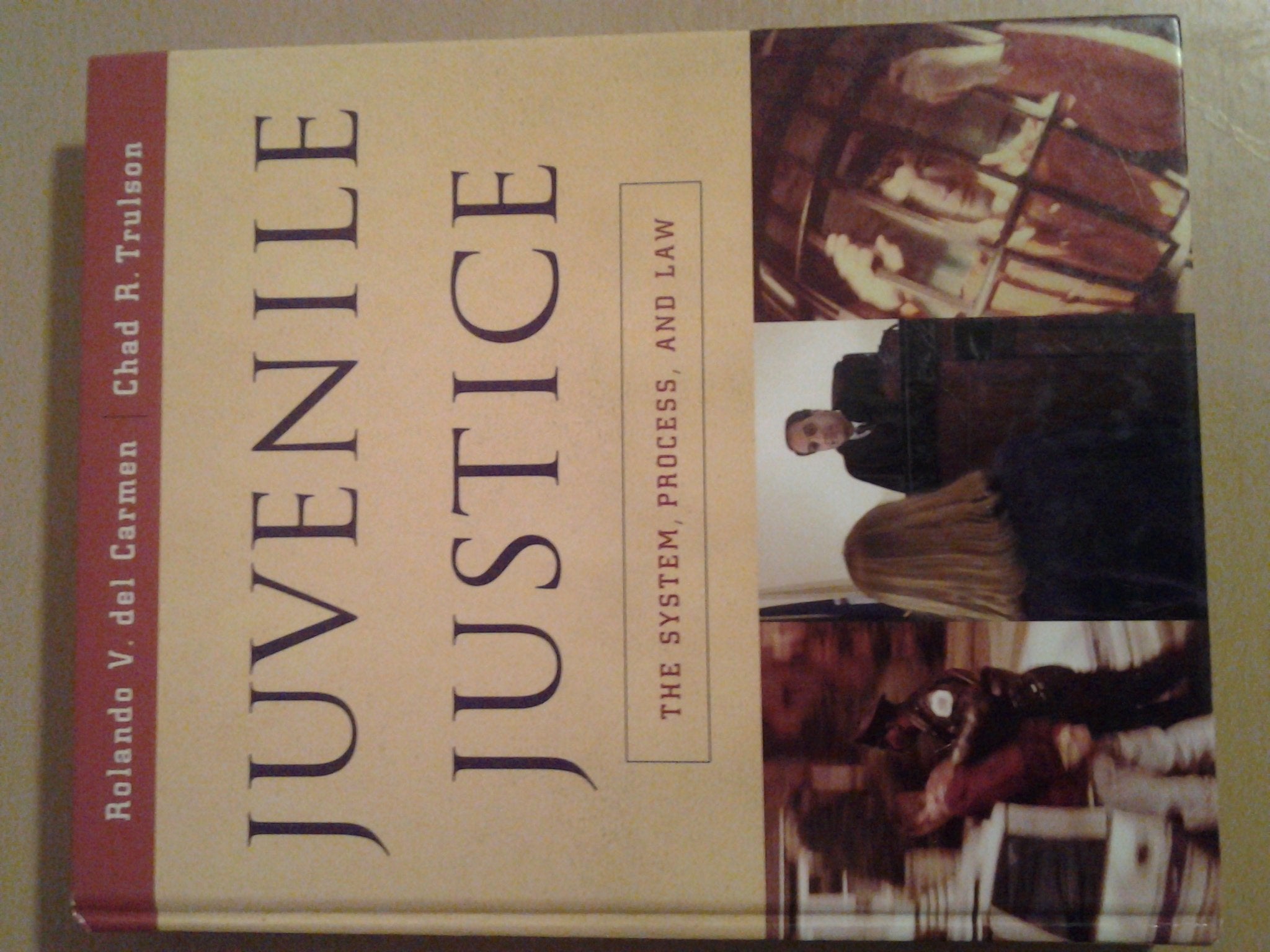 Juvenile Justice: The System, Process And Law (Available Titles Cengagenow),New
