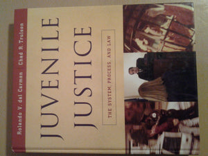 Juvenile Justice: The System, Process And Law (Available Titles Cengagenow),New