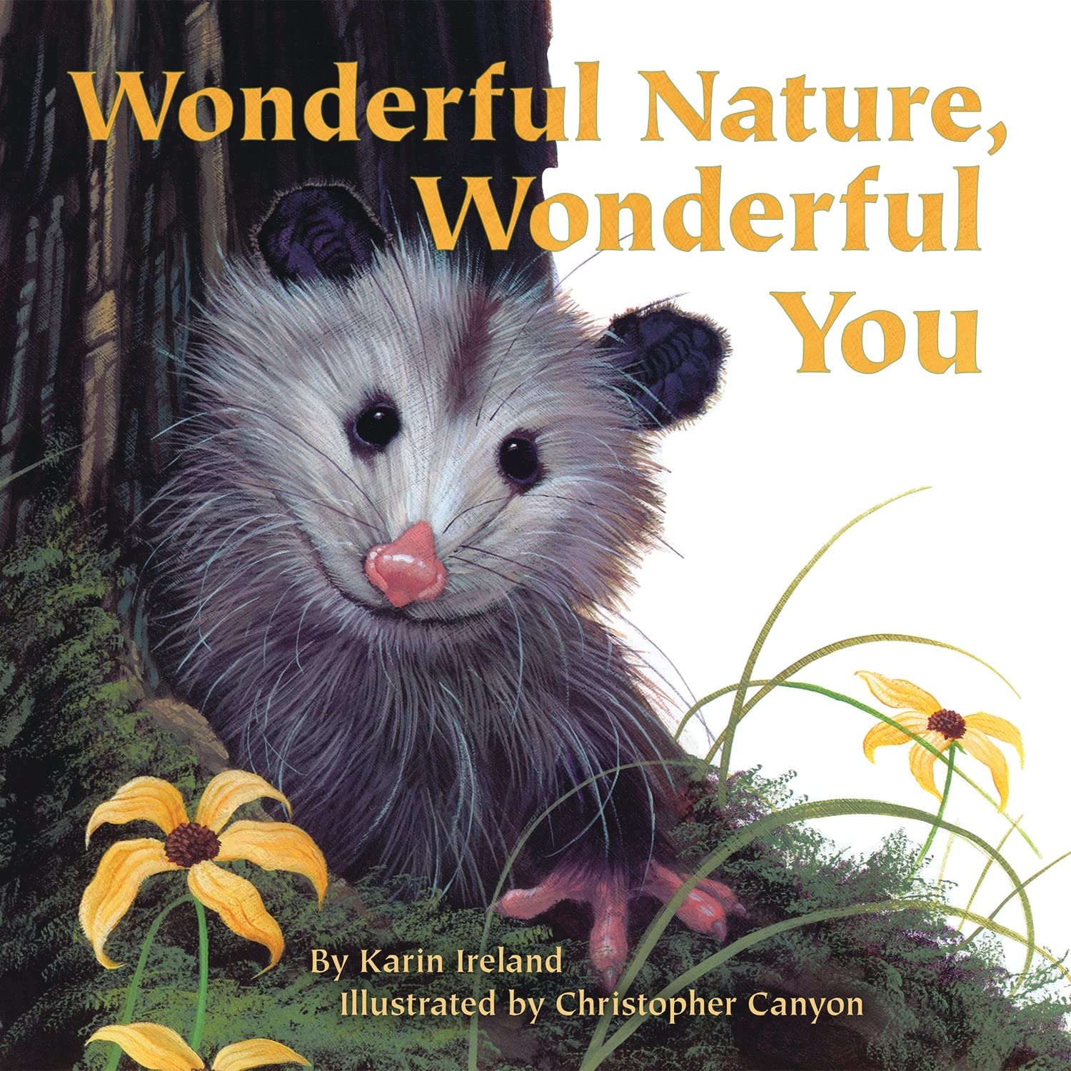 Wonderful Nature, Wonderful You,Used