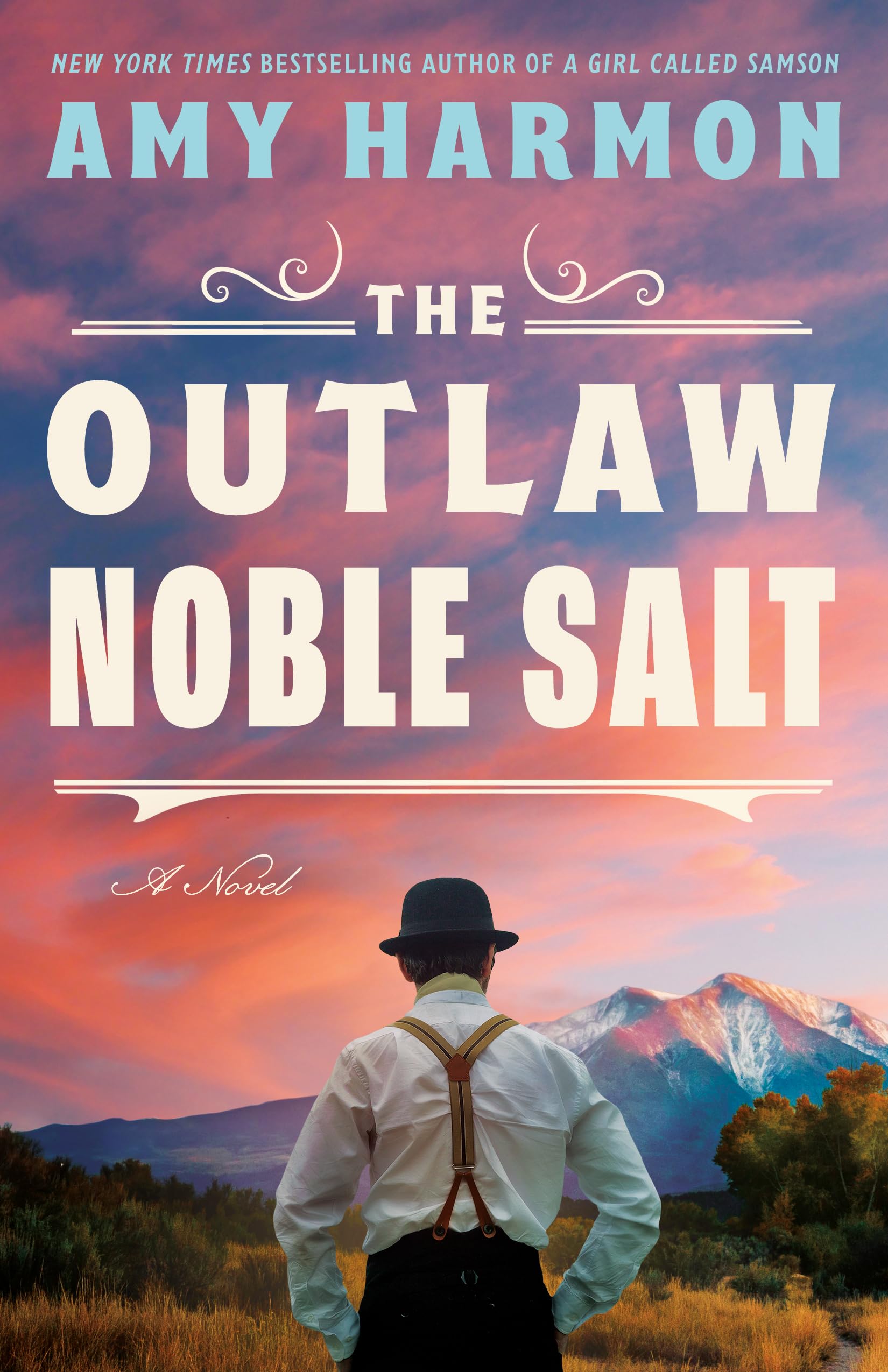 The Outlaw Noble Salt: A Novel,Used
