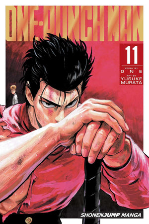 OnePunch Man, Vol. 11 (11),New
