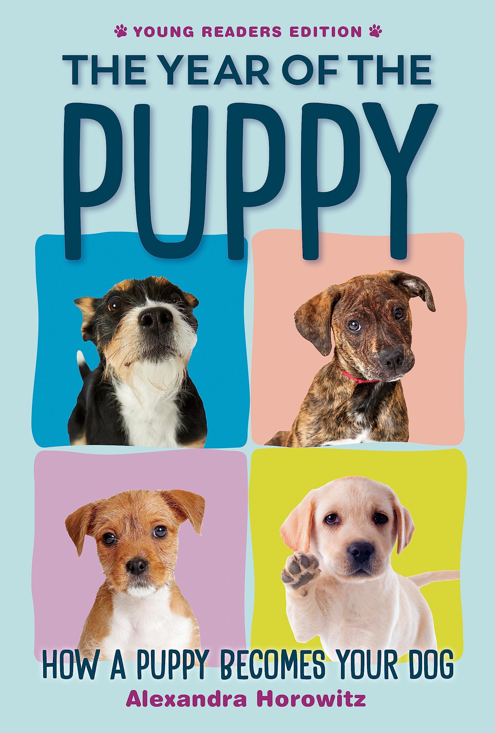 The Year Of The Puppy: How A Puppy Becomes Your Dog,New