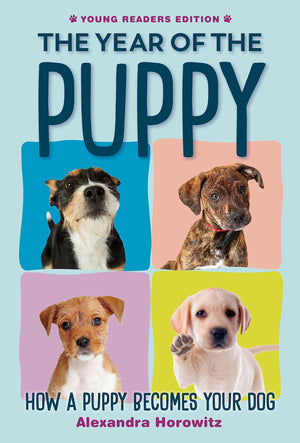 The Year Of The Puppy: How A Puppy Becomes Your Dog,New