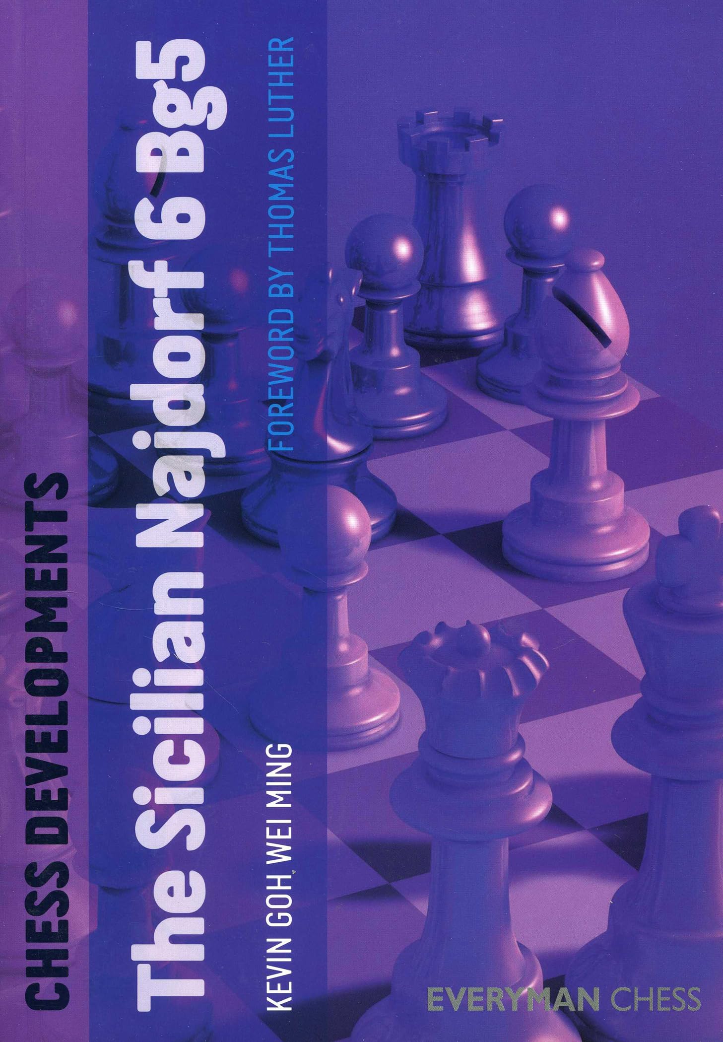 Chess Developments: The Sicilian Najdorf 6 Bg5,Used