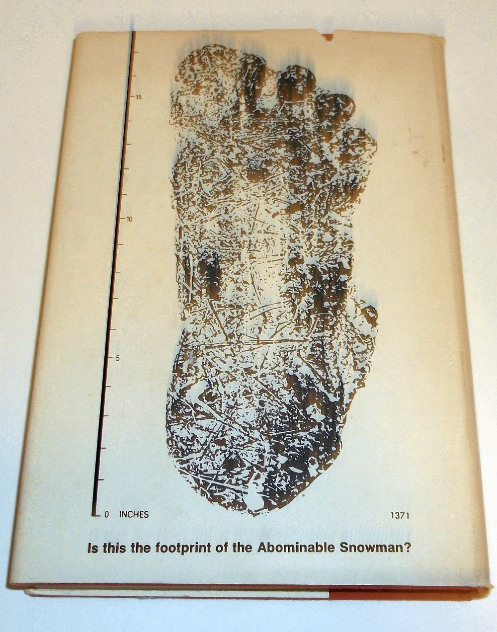 Bigfoot; The Yeti And Sasquatch In Myth And Reality