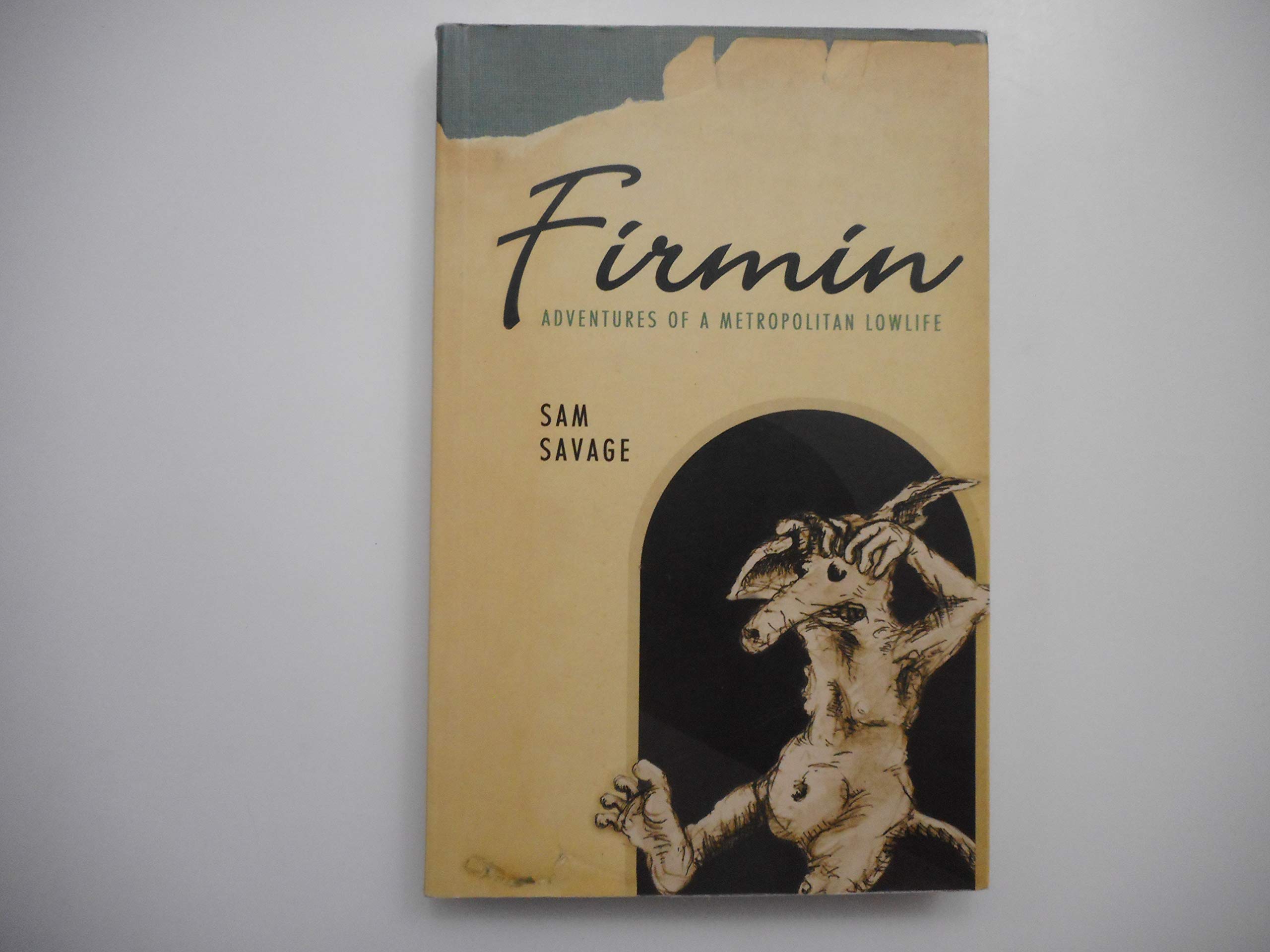 Firmin: Adventures of a Metropolitan Lowlife,Used