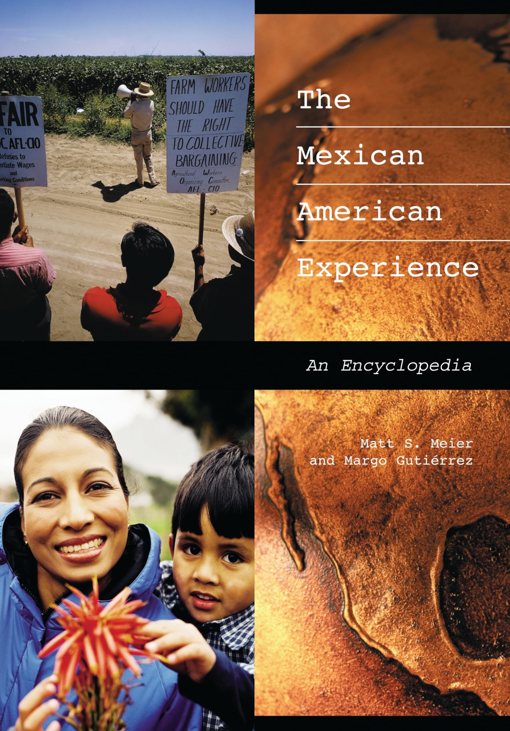 The Mexican American Experience: An Encyclopedia,Used