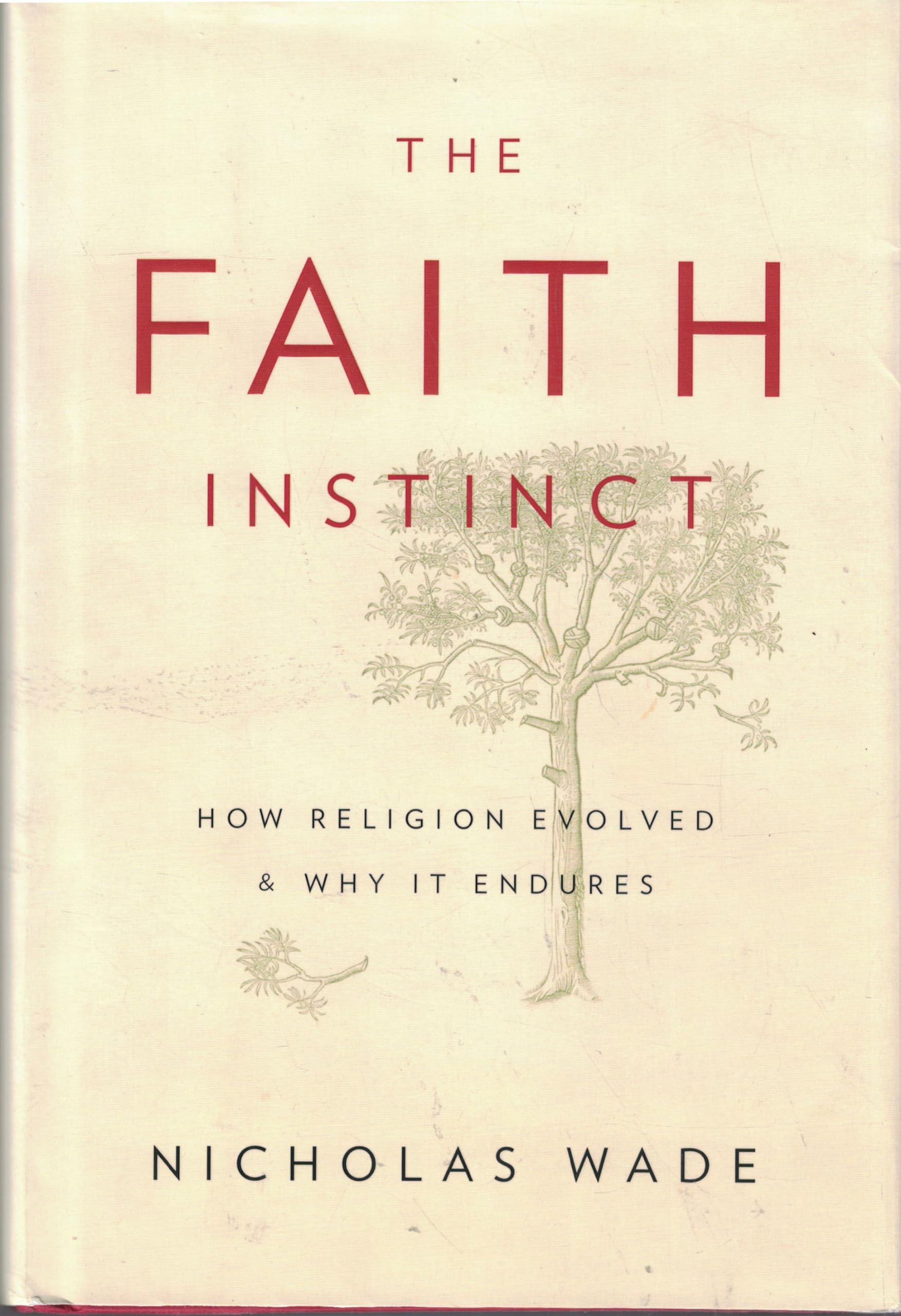 The Faith Instinct: How Religion Evolved and Why It Endures,Used