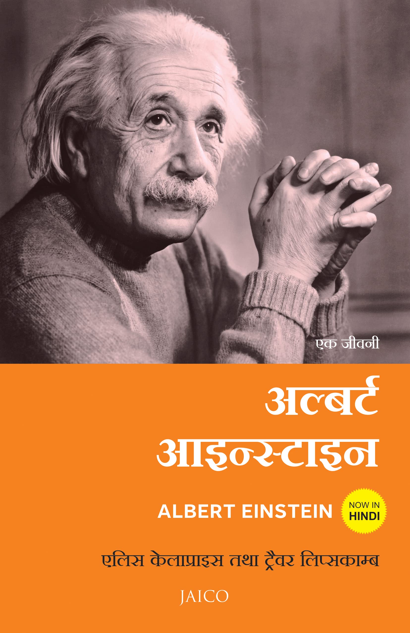Albert Einstein (Hindi)