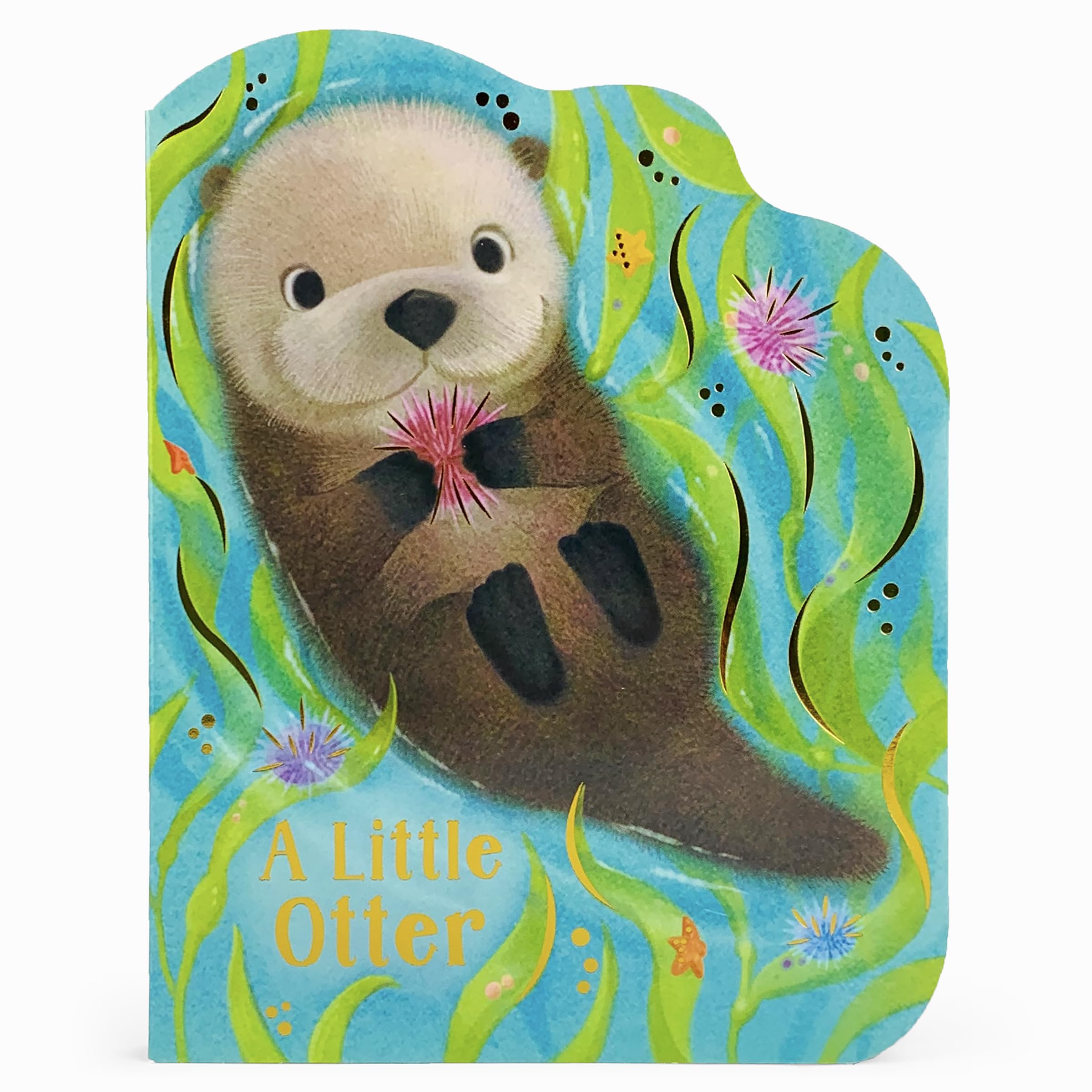 A Little Otter,Used