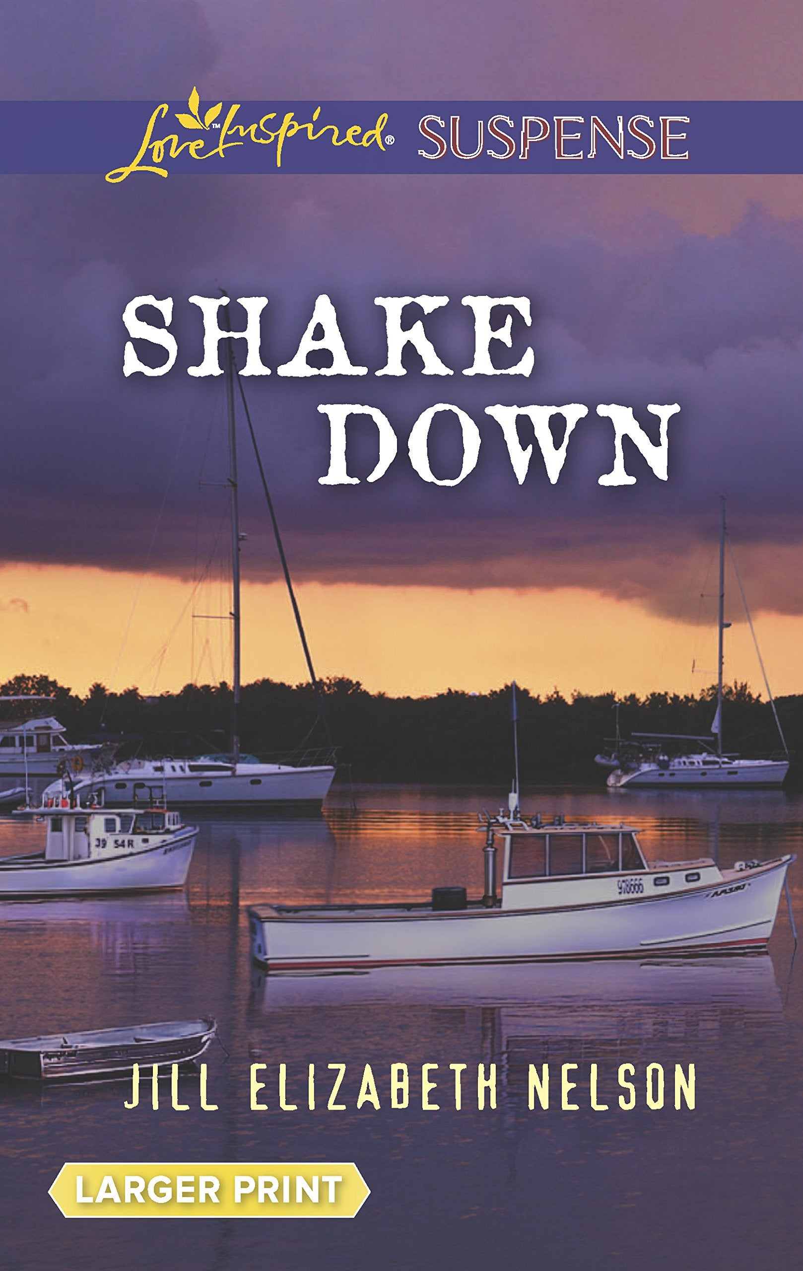 Shake Down (Love Inspired LP Suspense),Used
