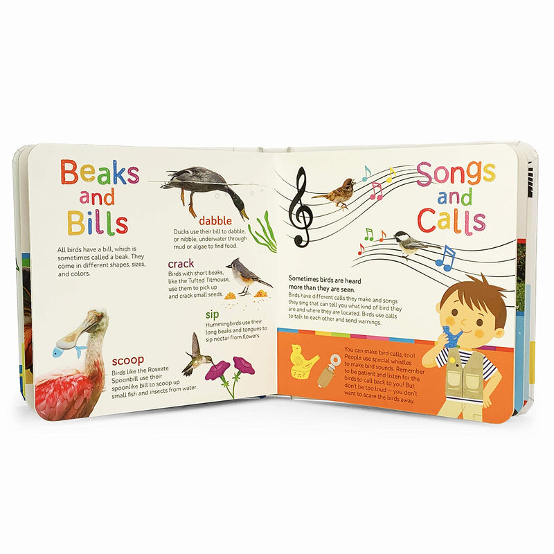 Birds: Feathers, Eggs, and Beaks (Smithsonian Kids First Discovery Books),Used