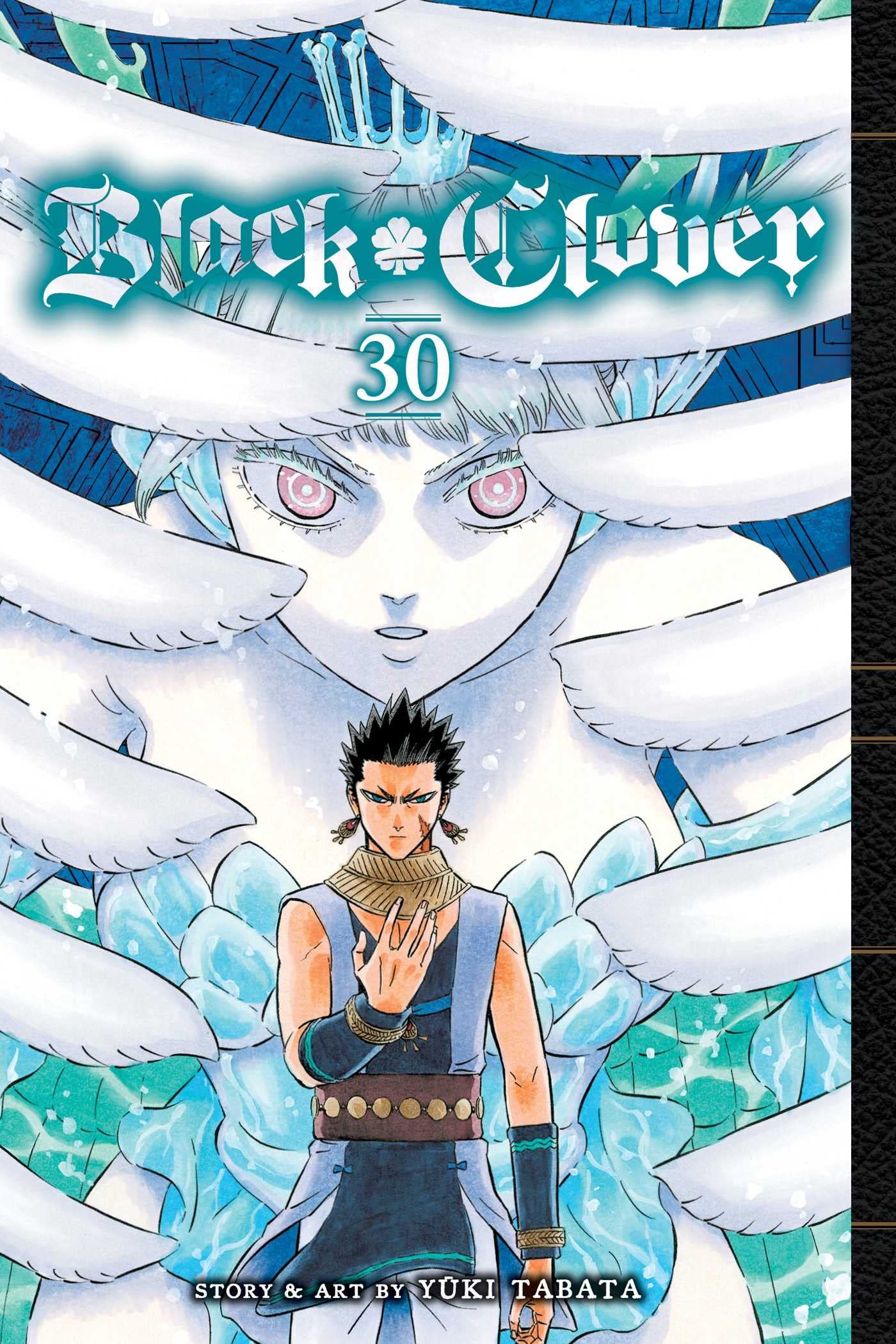 Black Clover, Vol. 30 (30),Used
