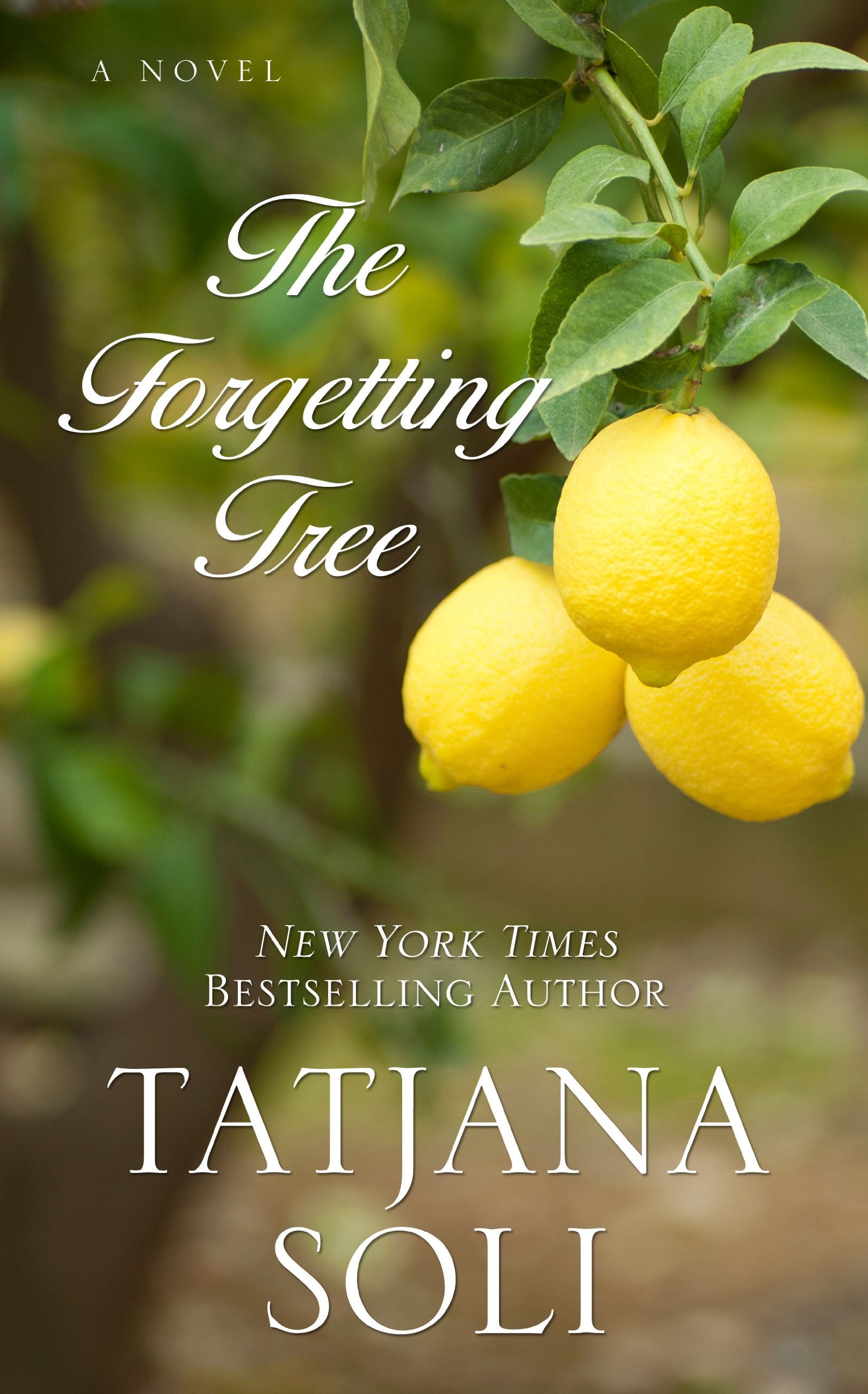 The Forgetting Tree (Wheeler Large Print Book Series),Used