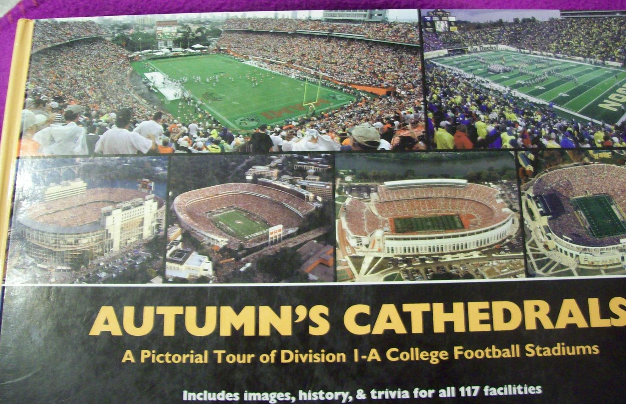 Autumn's Cathedrals,Used