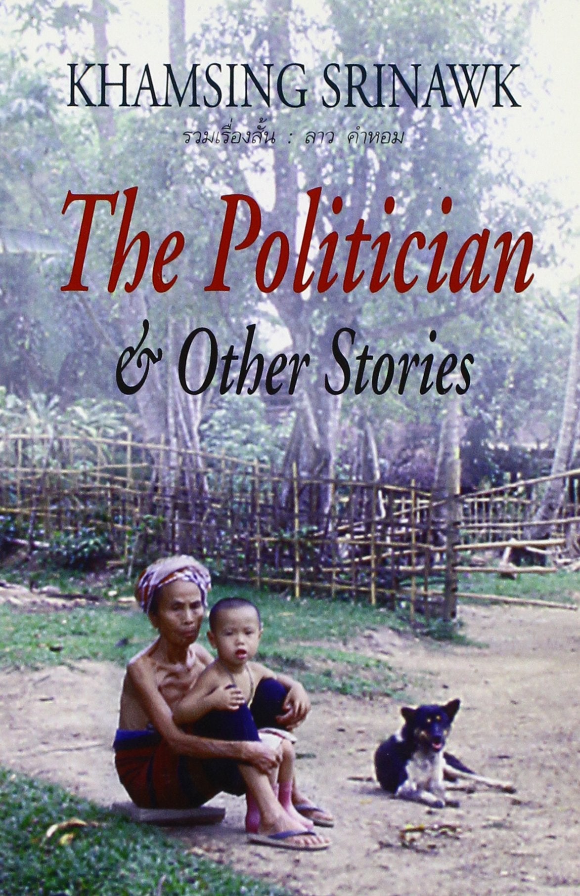 The Politician and Other Stories,Used