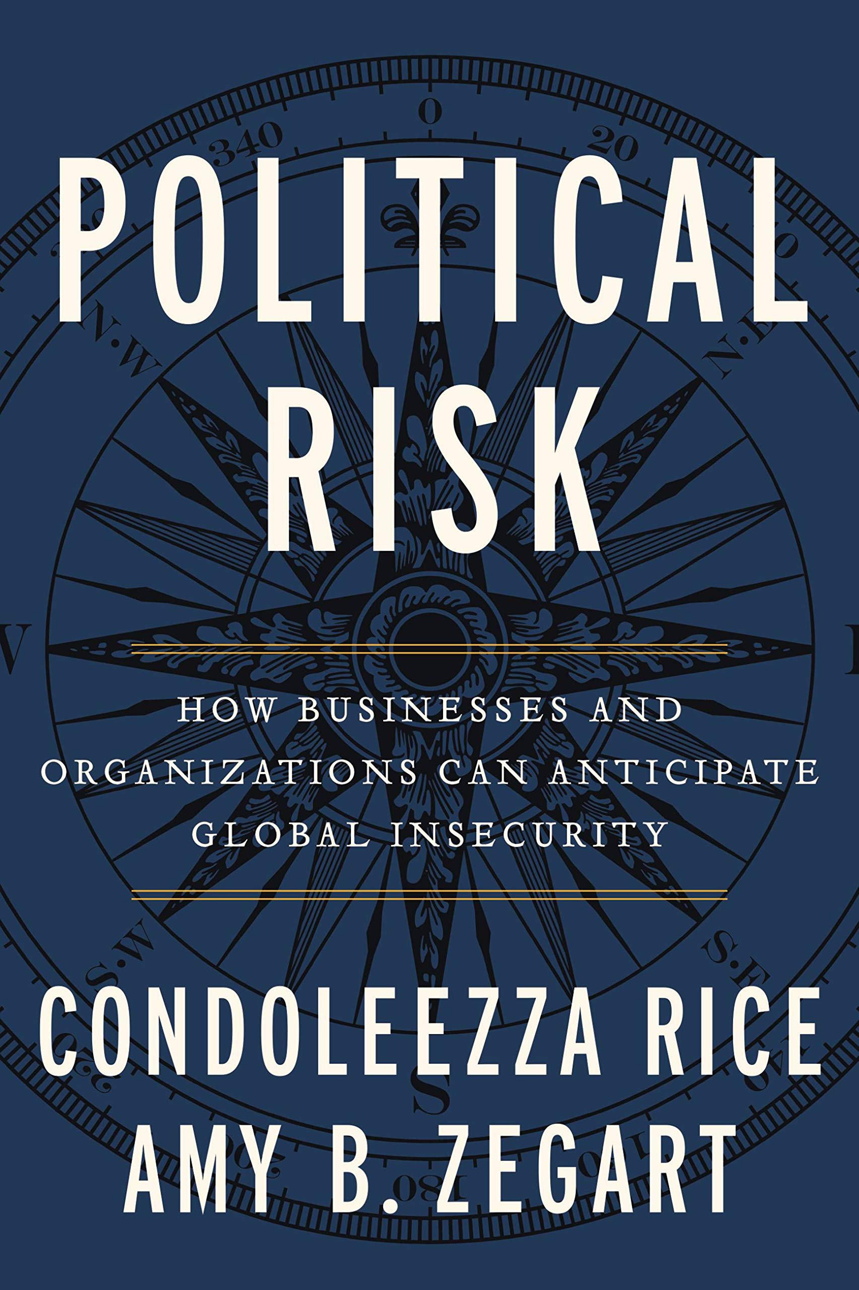 Political Risk: How Businesses and Organizations Can Anticipate Global Insecurity,Used