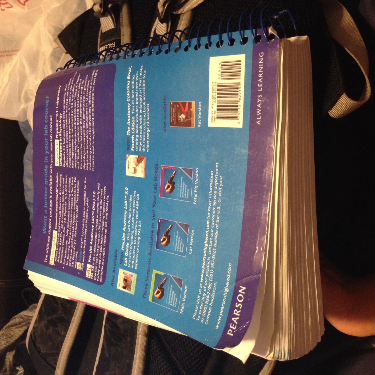 Human Anatomy & Physiology: Cat Version,New