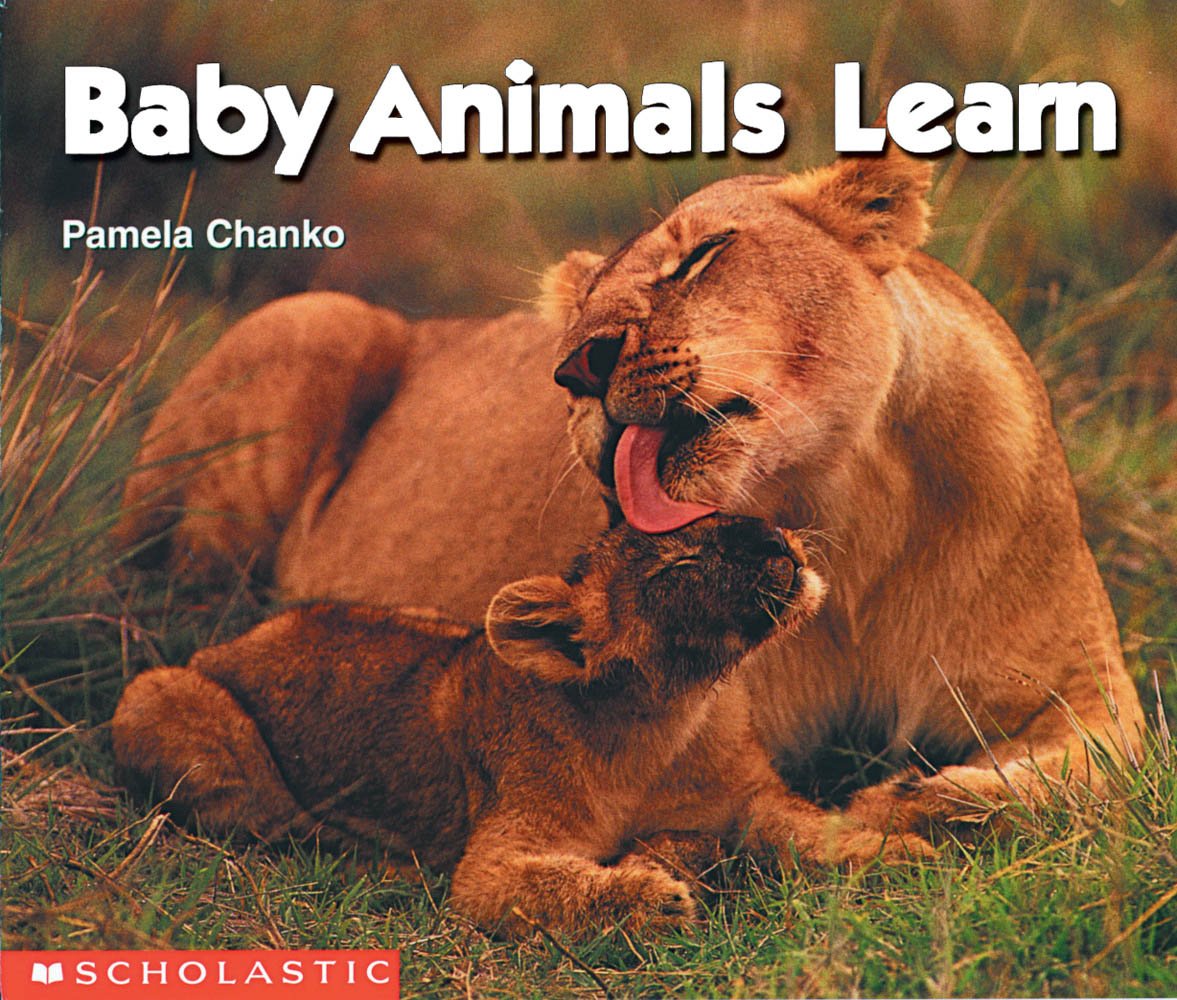 Baby Animals Learn (Science Emergent Reader),Used