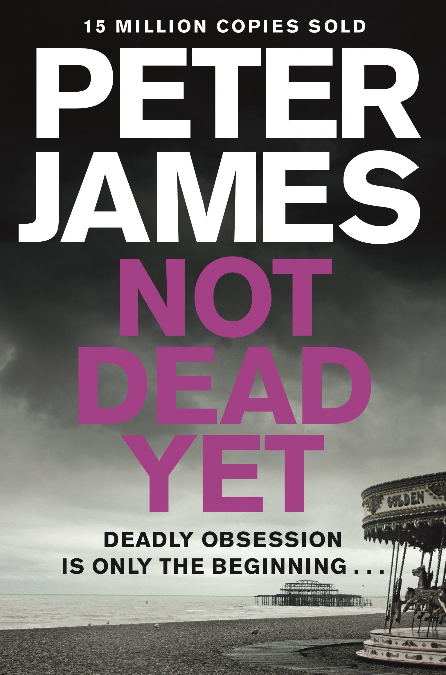 Not Dead Yet (8) (Roy Grace),Used