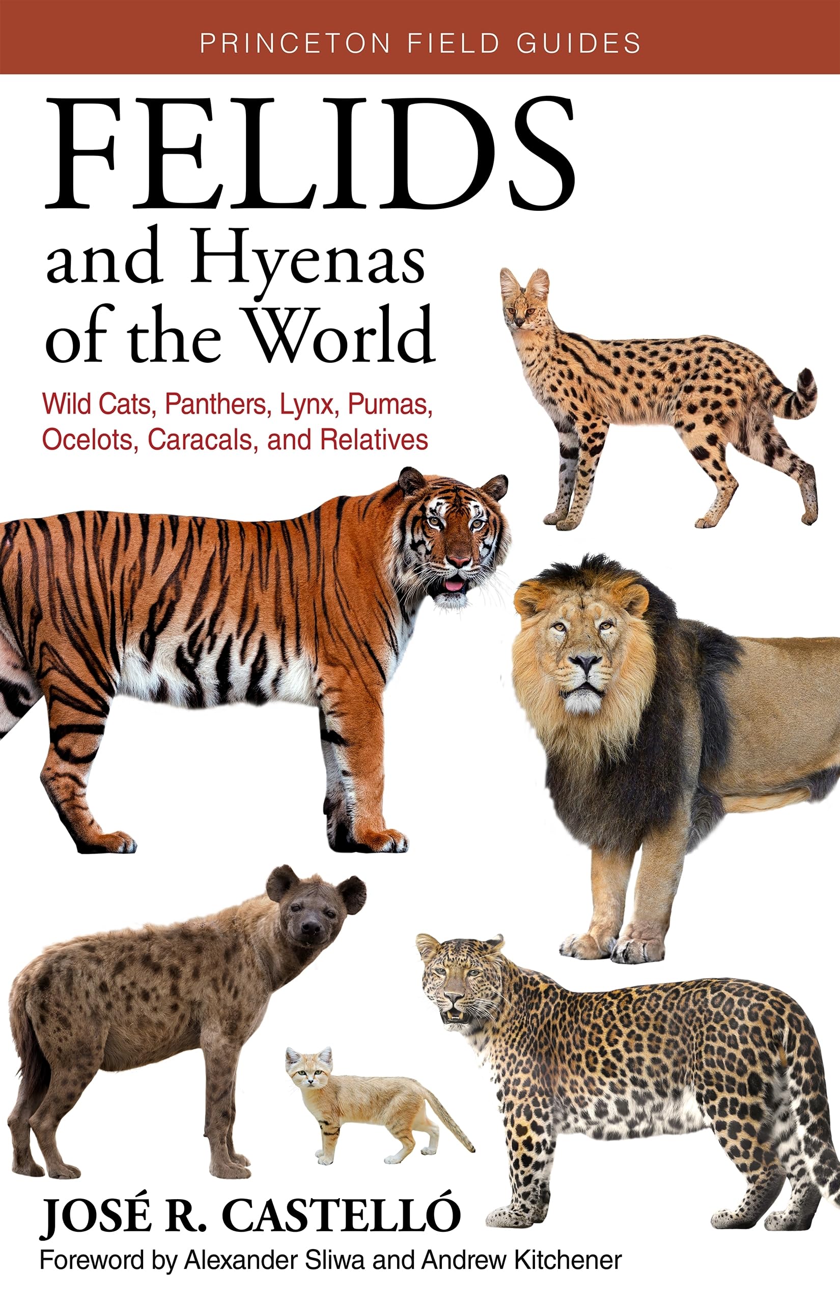 Felids and Hyenas of the World: Wildcats, Panthers, Lynx, Pumas, Ocelots, Caracals, and Relatives,Used