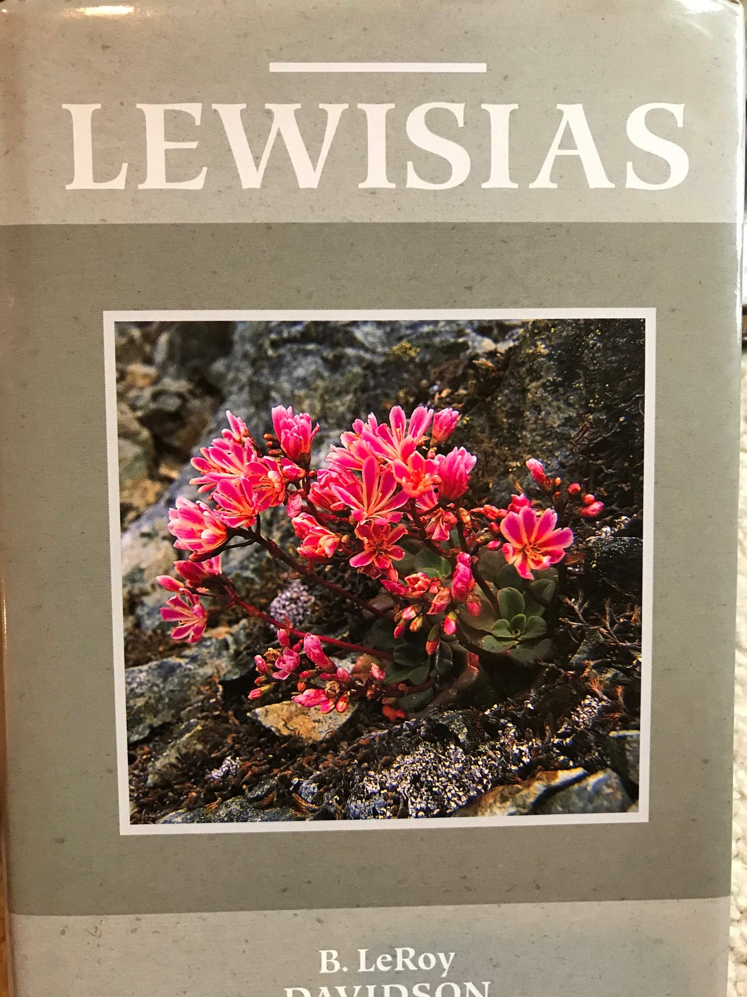 Lewisias,New