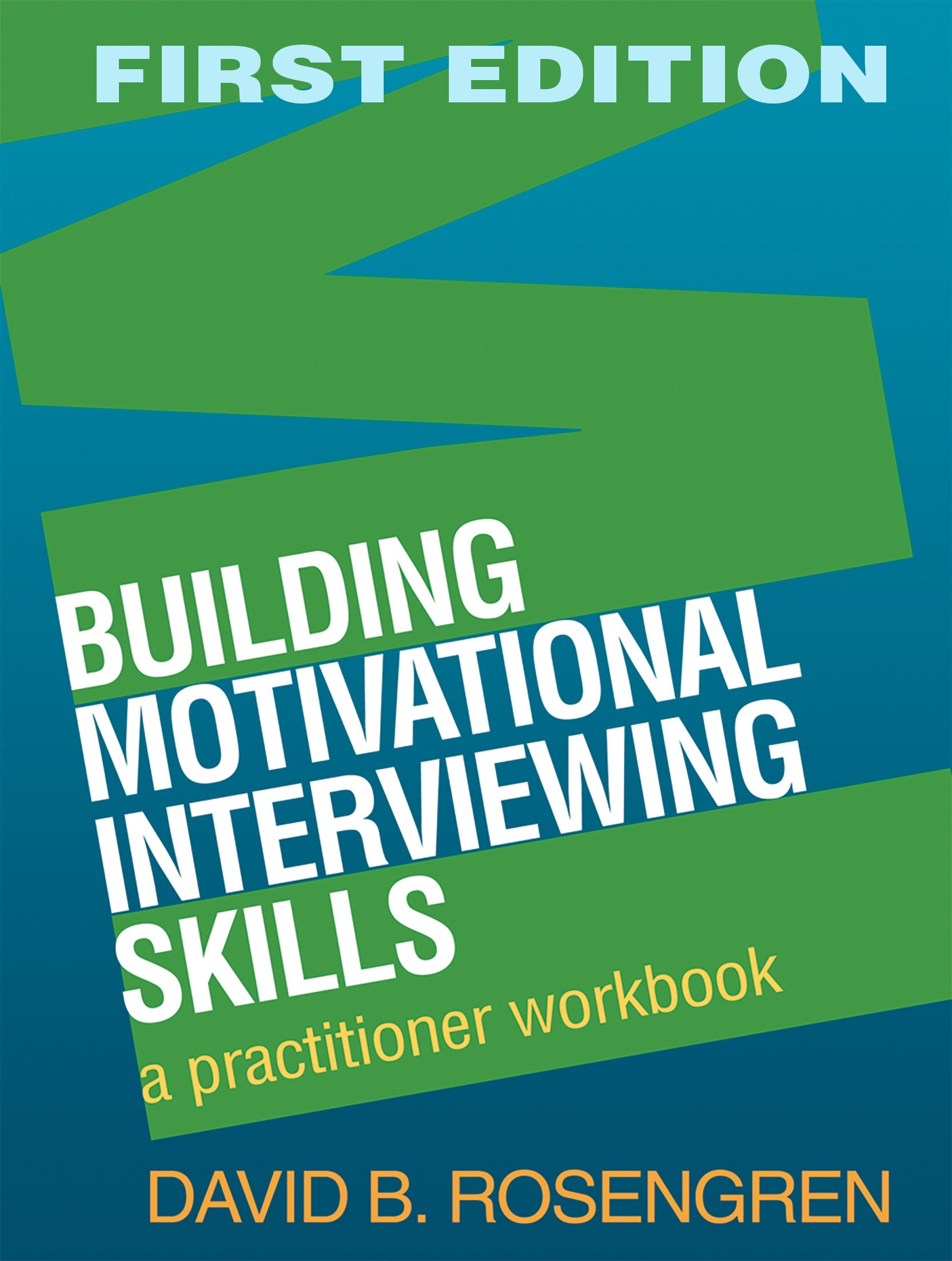 Building Motivational Interviewing Skills: A Practitioner Workbook (Applications of Motivational Interviewing),Used