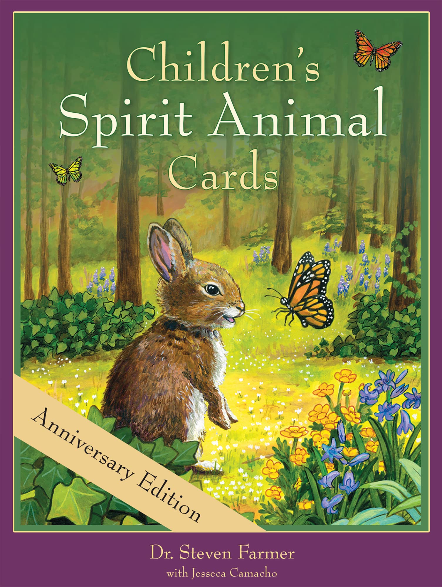 Children's Spirit Animal Cards: 24 Cards and 92 Page Author's Guidebook,Used