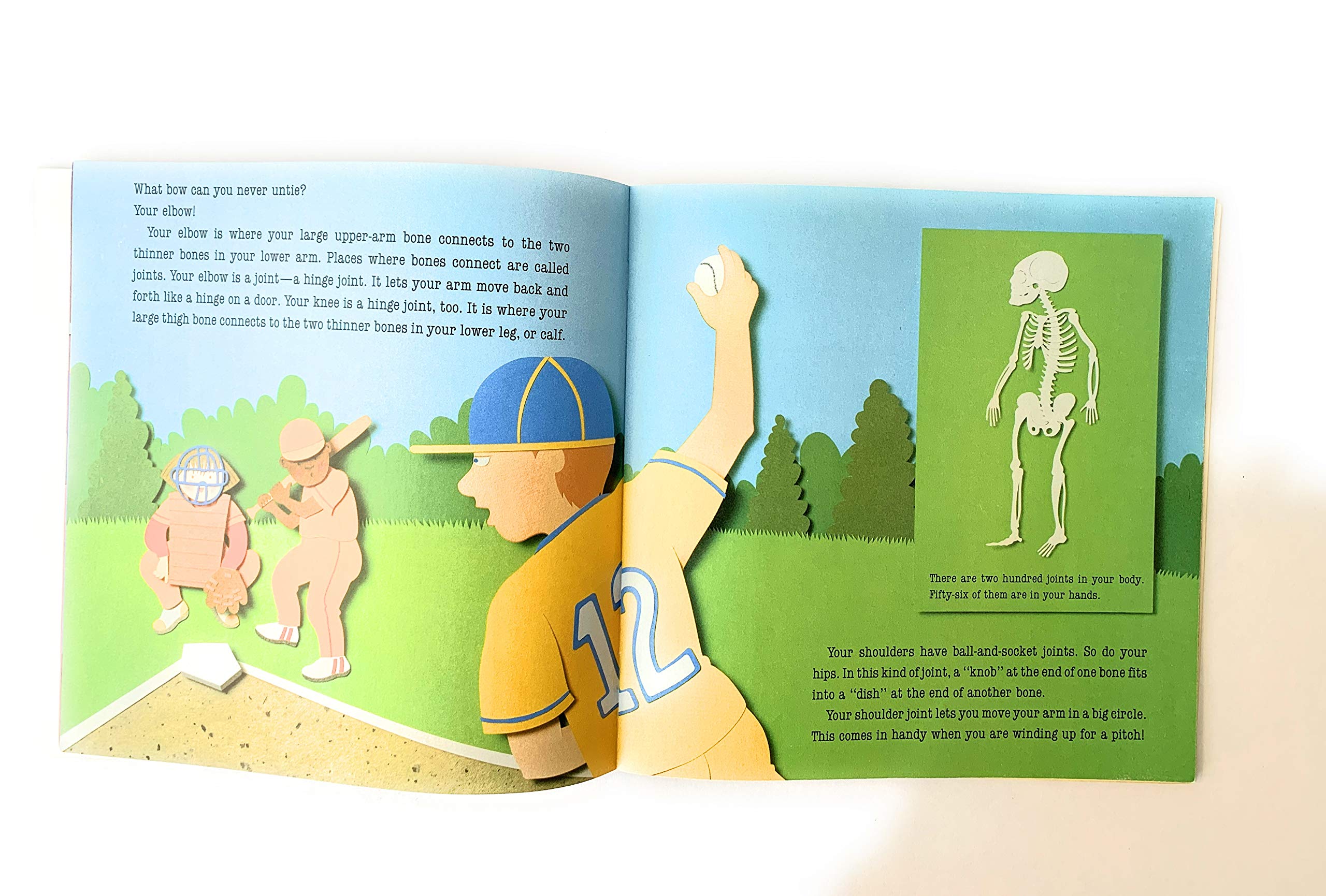 Esqueletos! Esqueletos! (Todo Acerca de Los Huesos (Skeletons! Skeletons! All About Bones)),Used