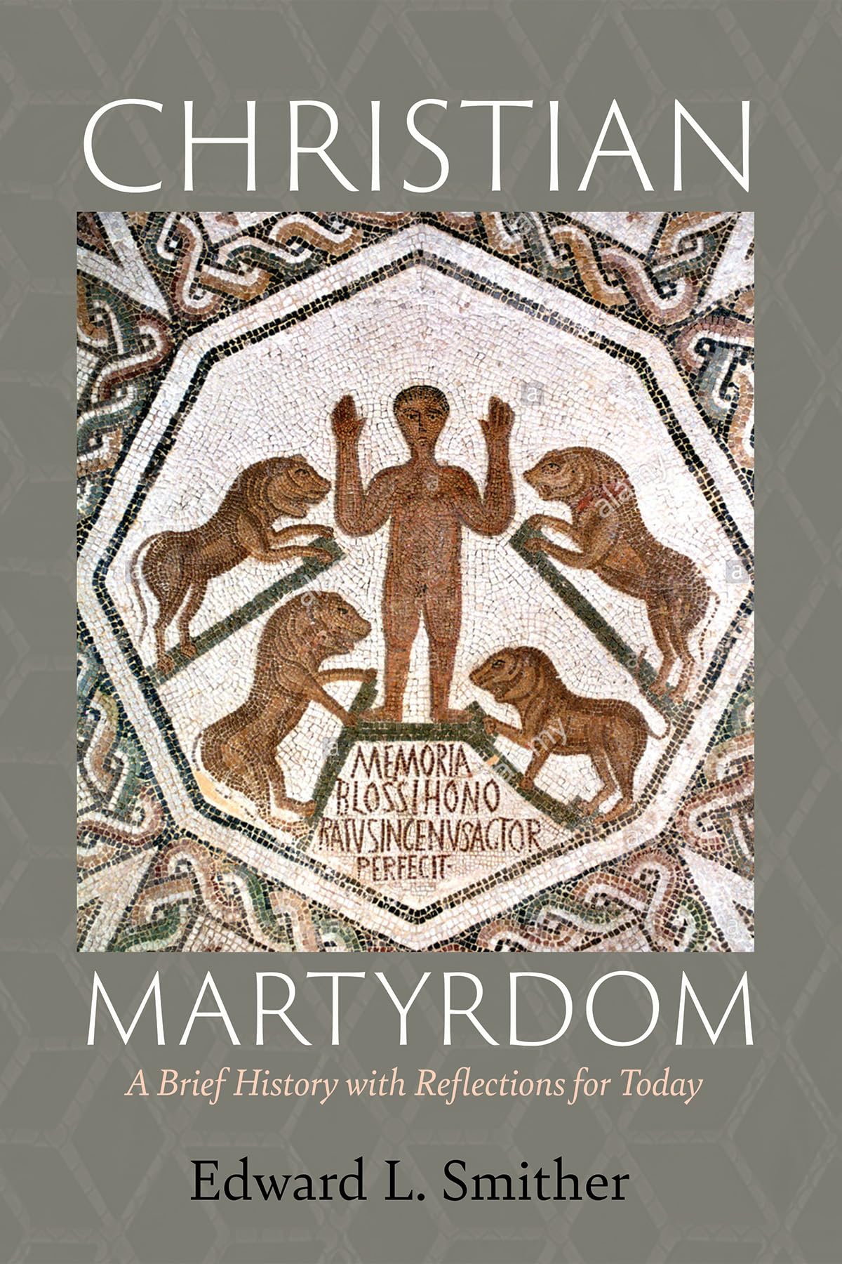 Christian Martyrdom: A Brief History with Reflections for Today,Used