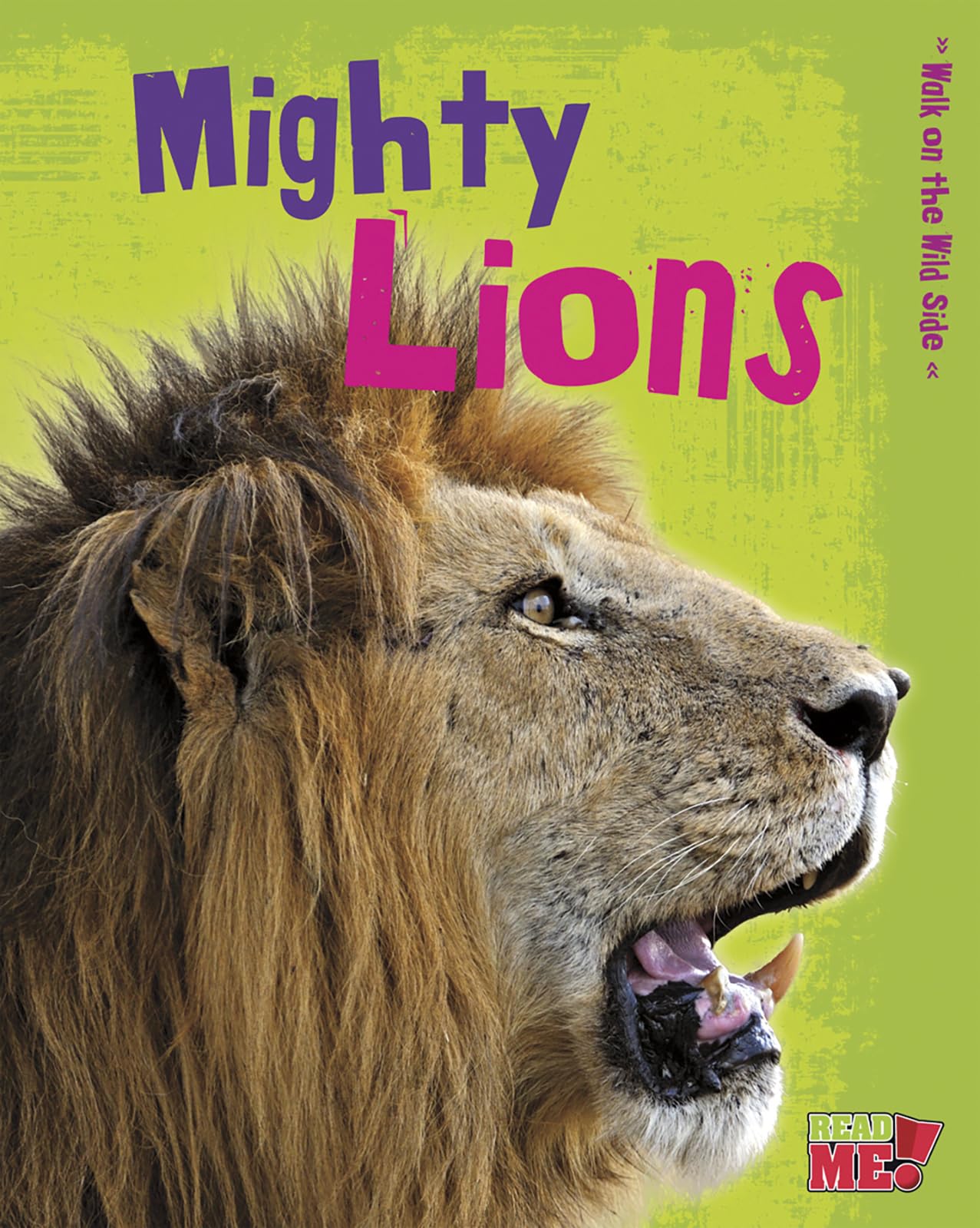 Mighty Lions (Walk On The Wild Side),Used