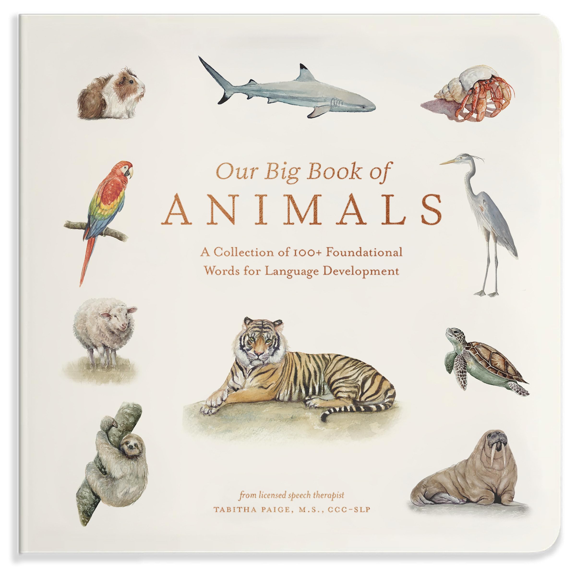 Our Big Book Of Animals: First 100 Animal Words For Language Development, Including Farm, Jungle, Pets, Bugs, And More (Tabitha